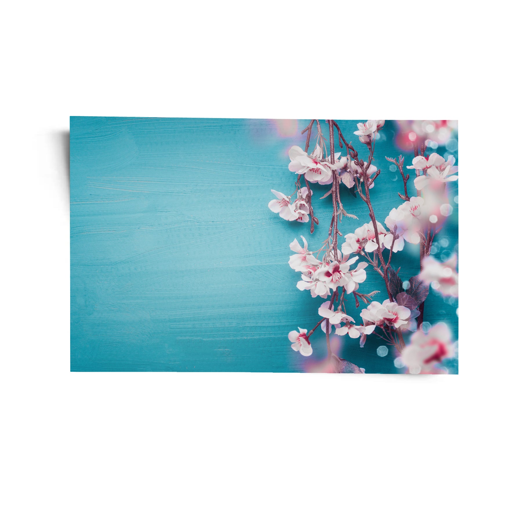 Sakura Dreams