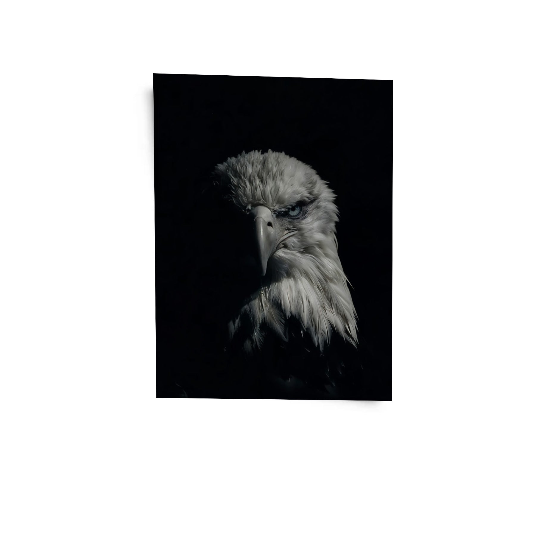 Its All Starts With A Dream - Canvas/Acrylic Glass 