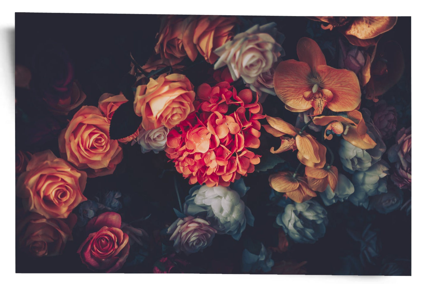 Baroque Botanica
