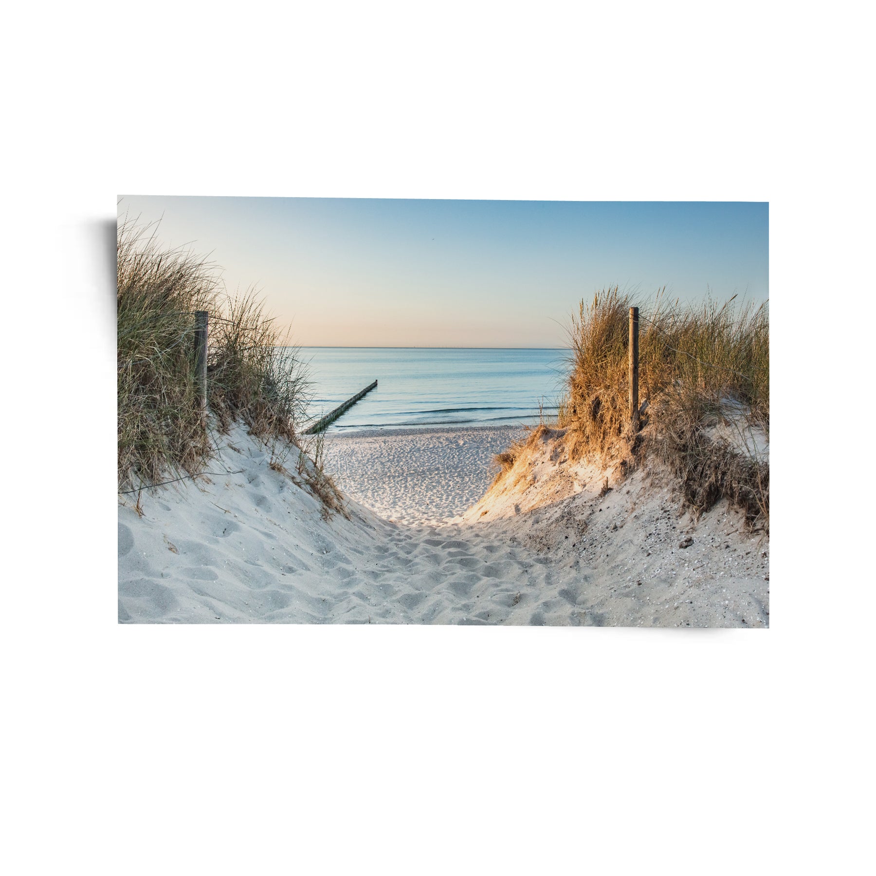 Morning Light at the Shore