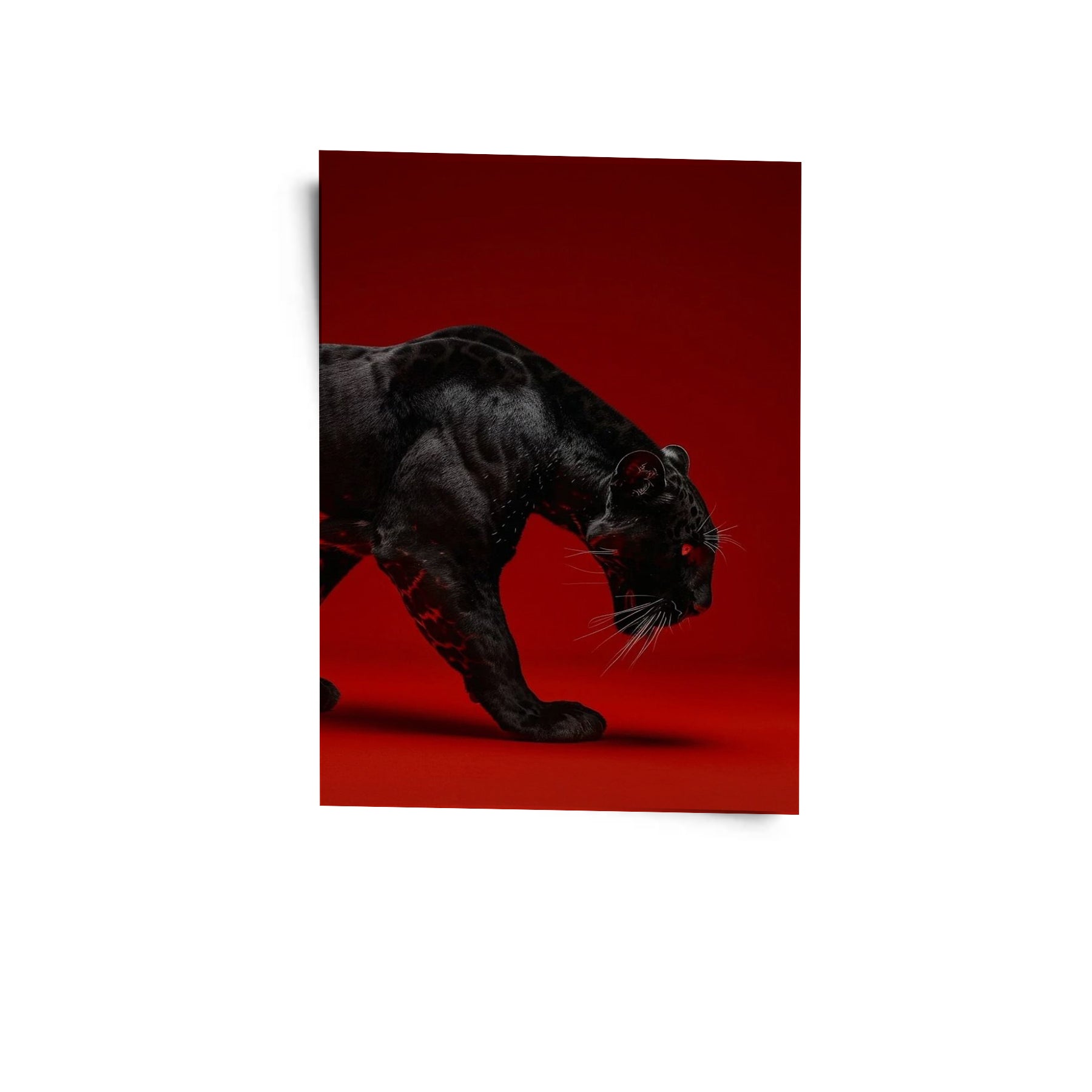Red Silence