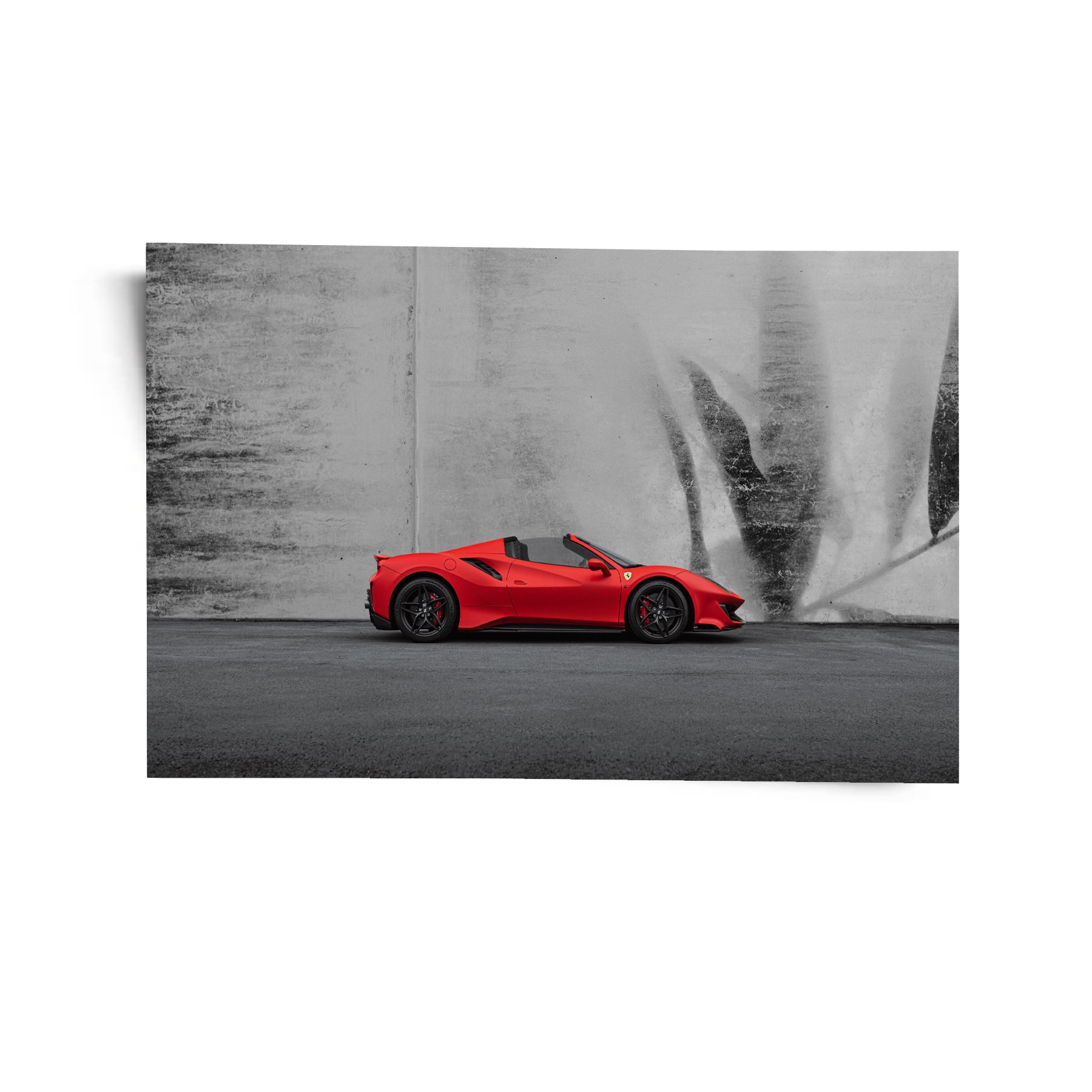Elegance in Motion