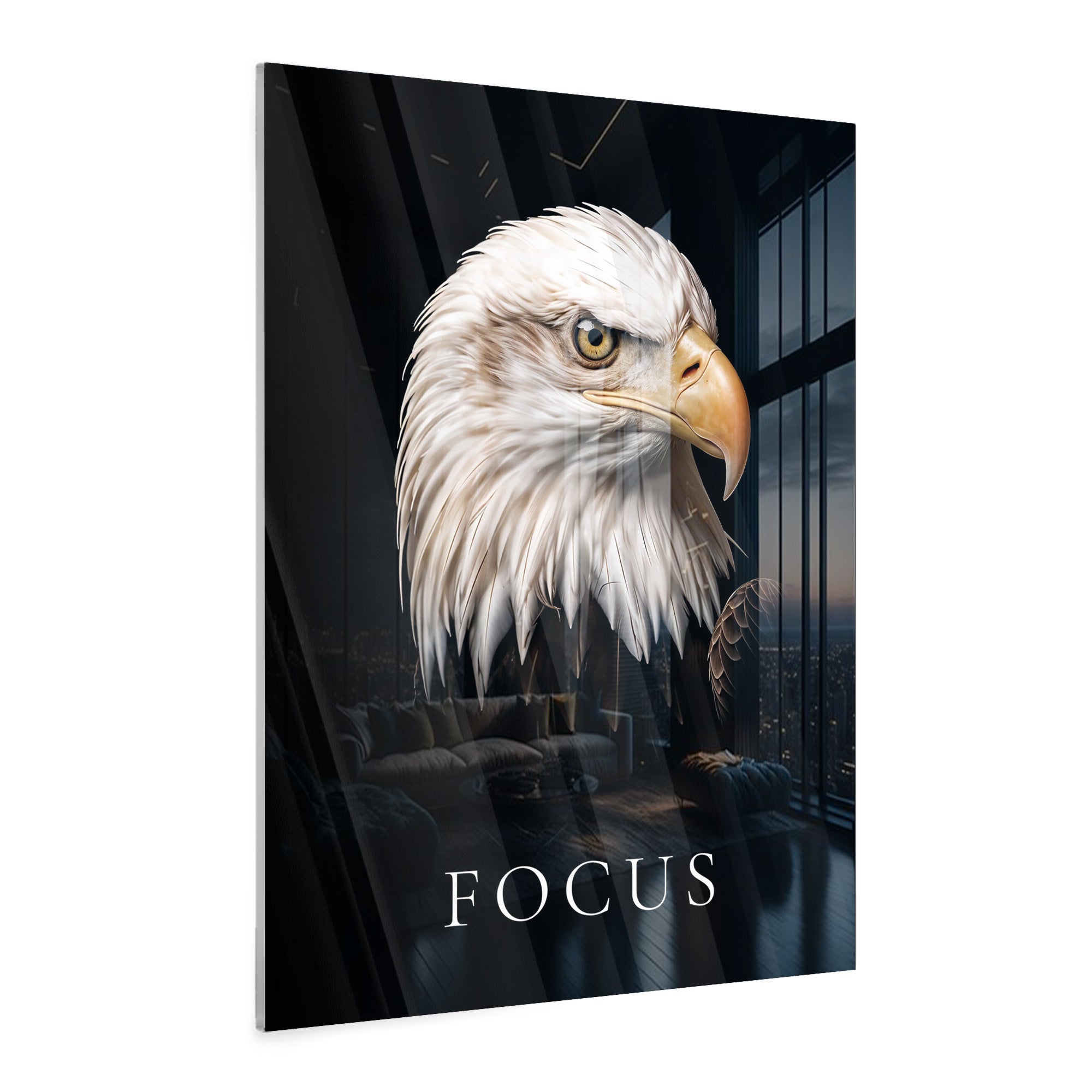 Focus