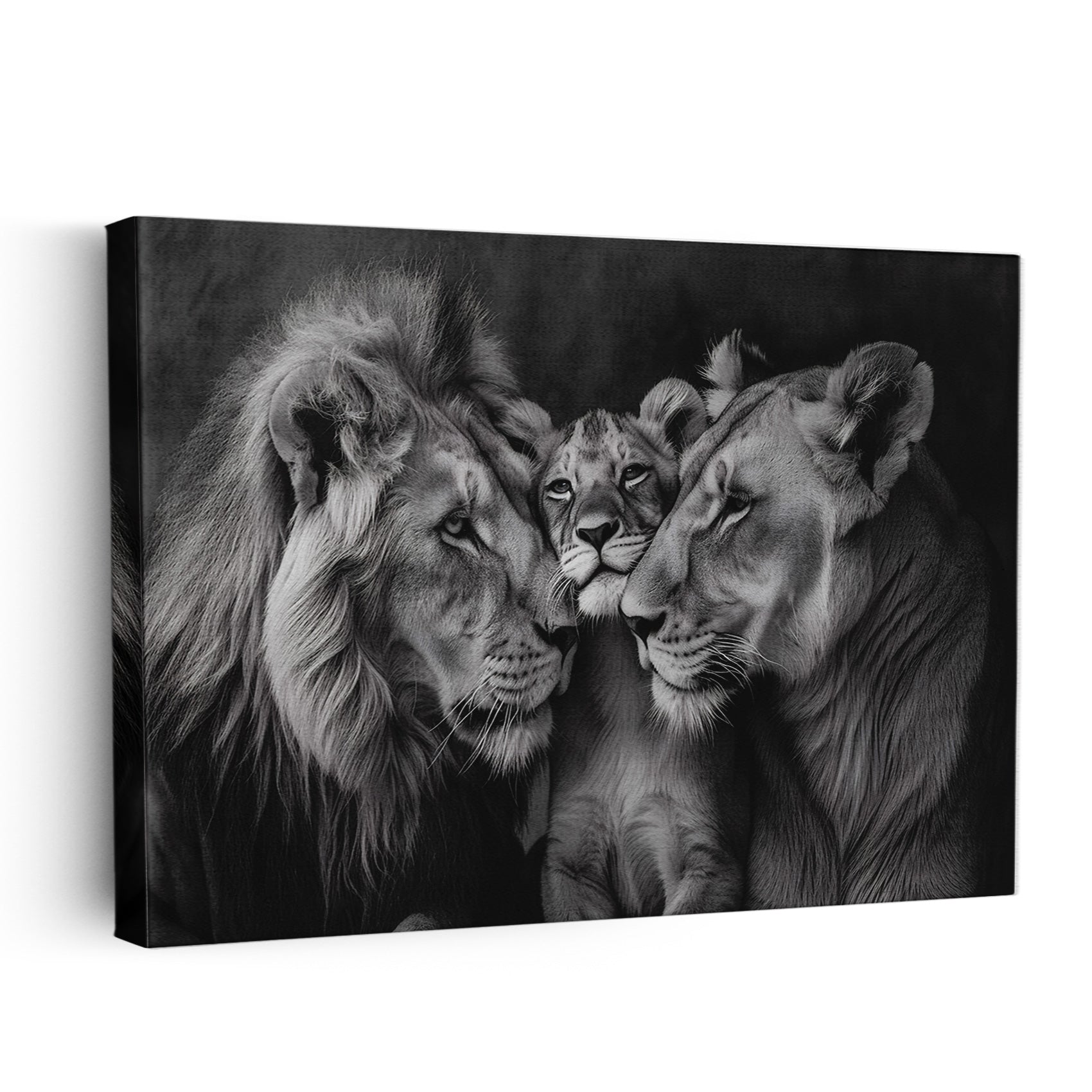 Lion Family
