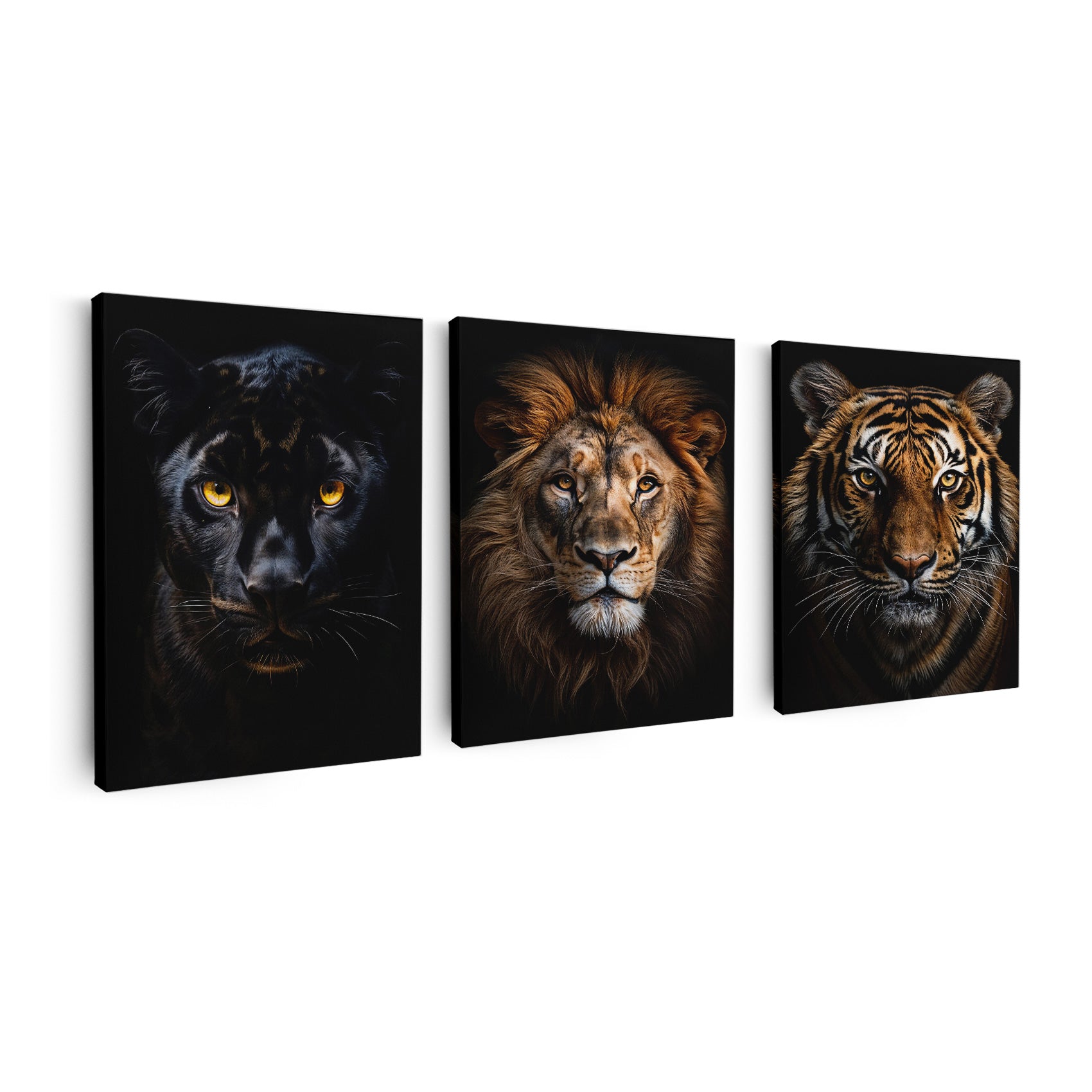 Royal Predators Collection