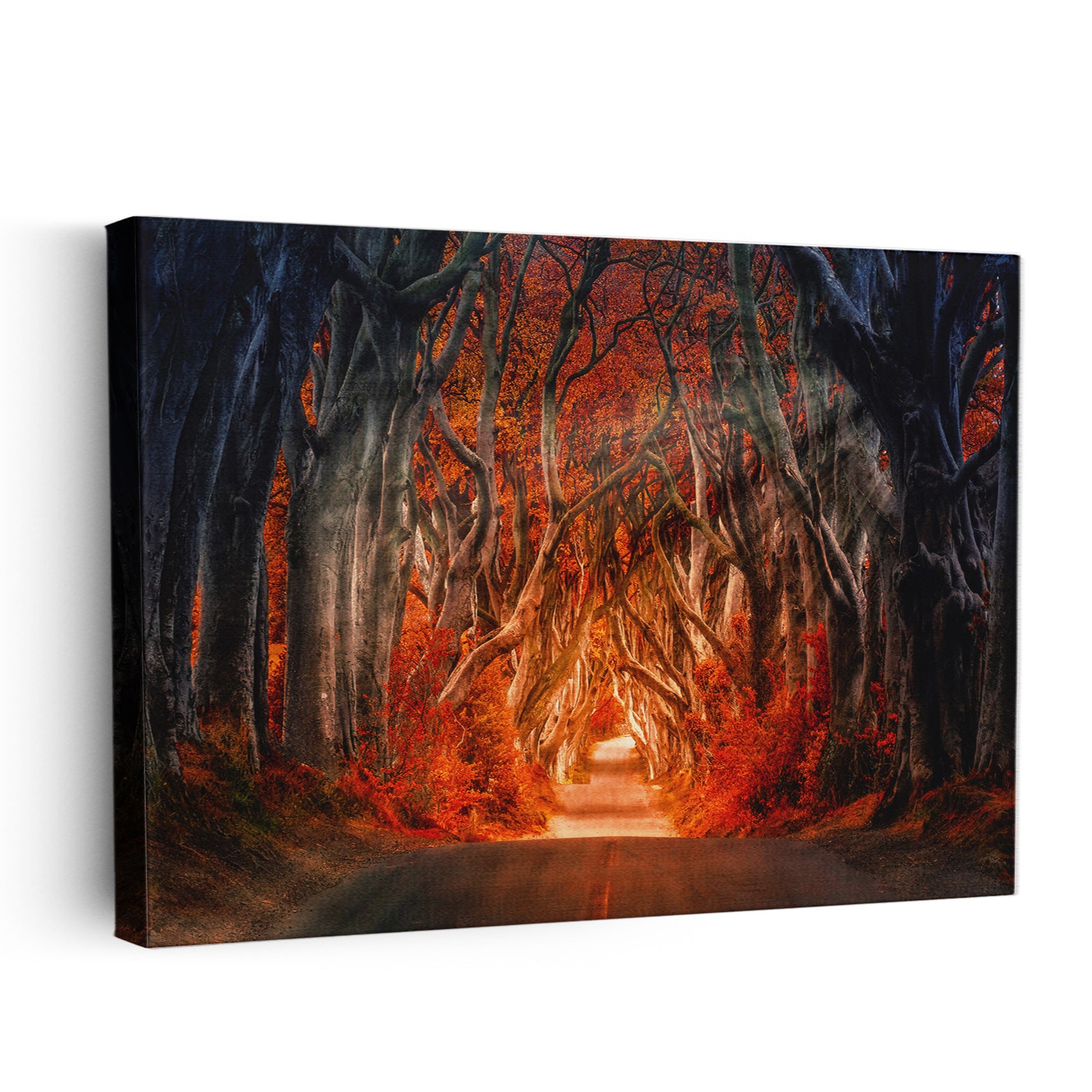 Autumn Path