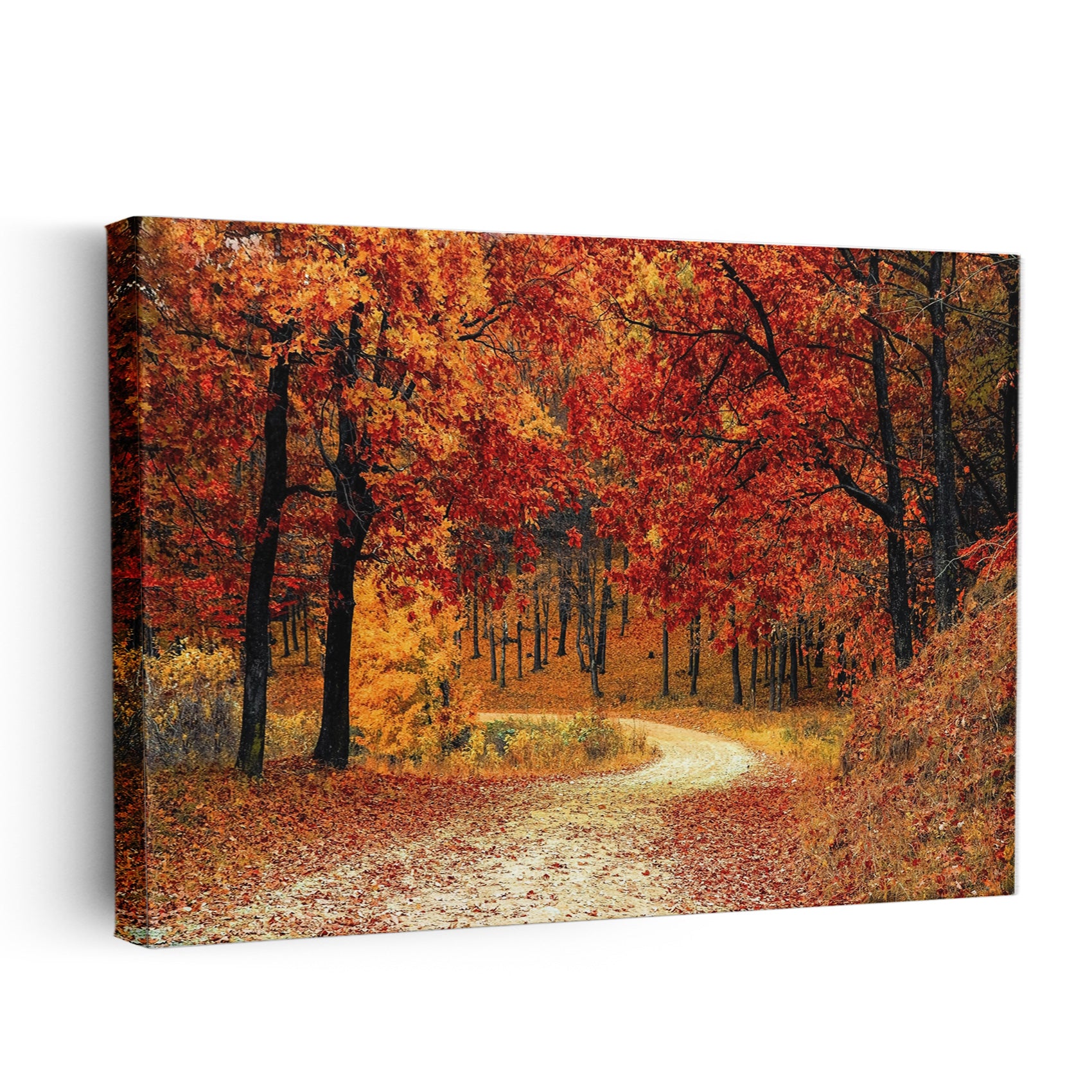 Autumn Path