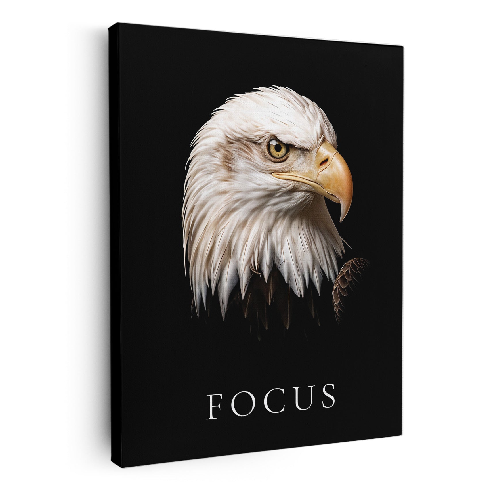 Focus