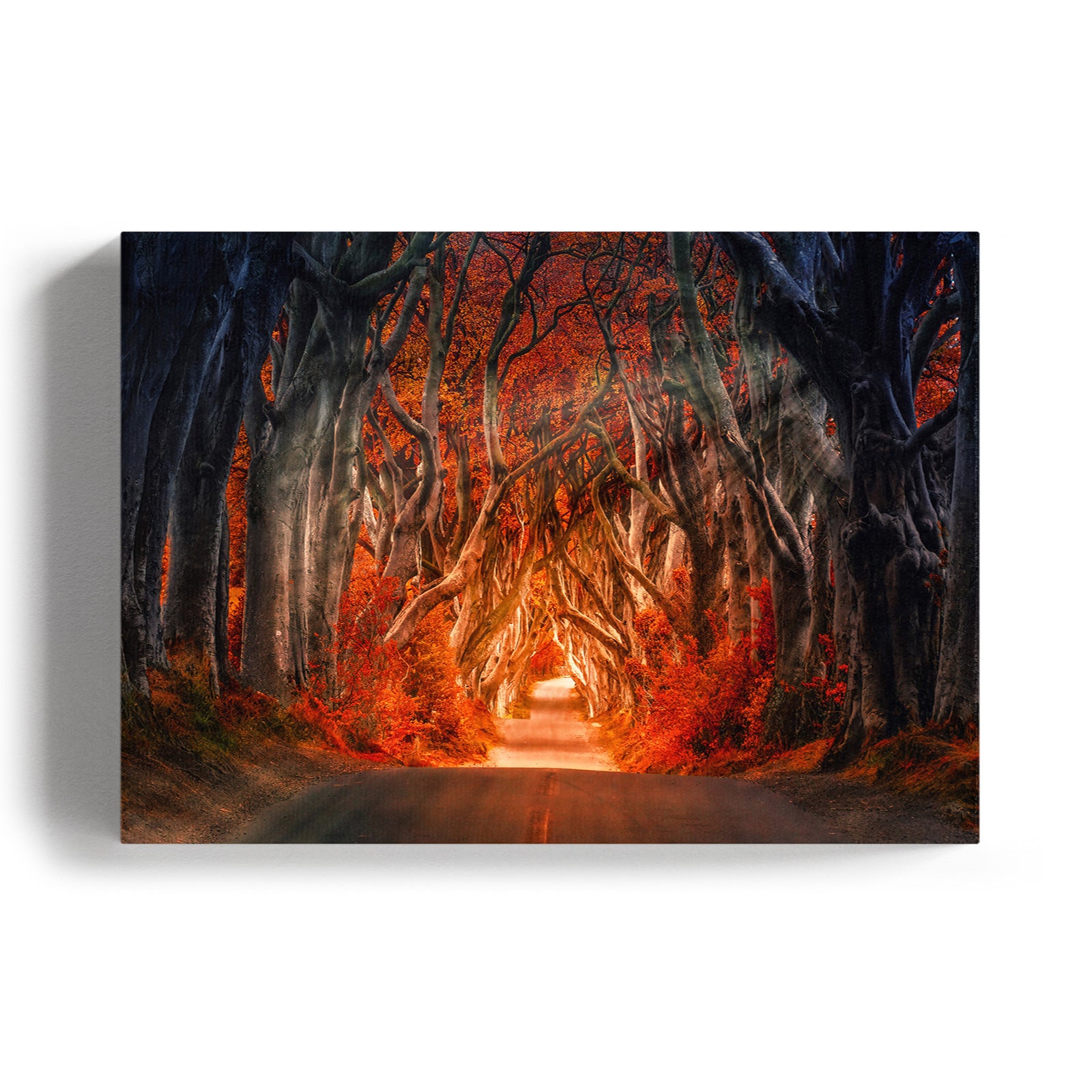 Autumn Path 2