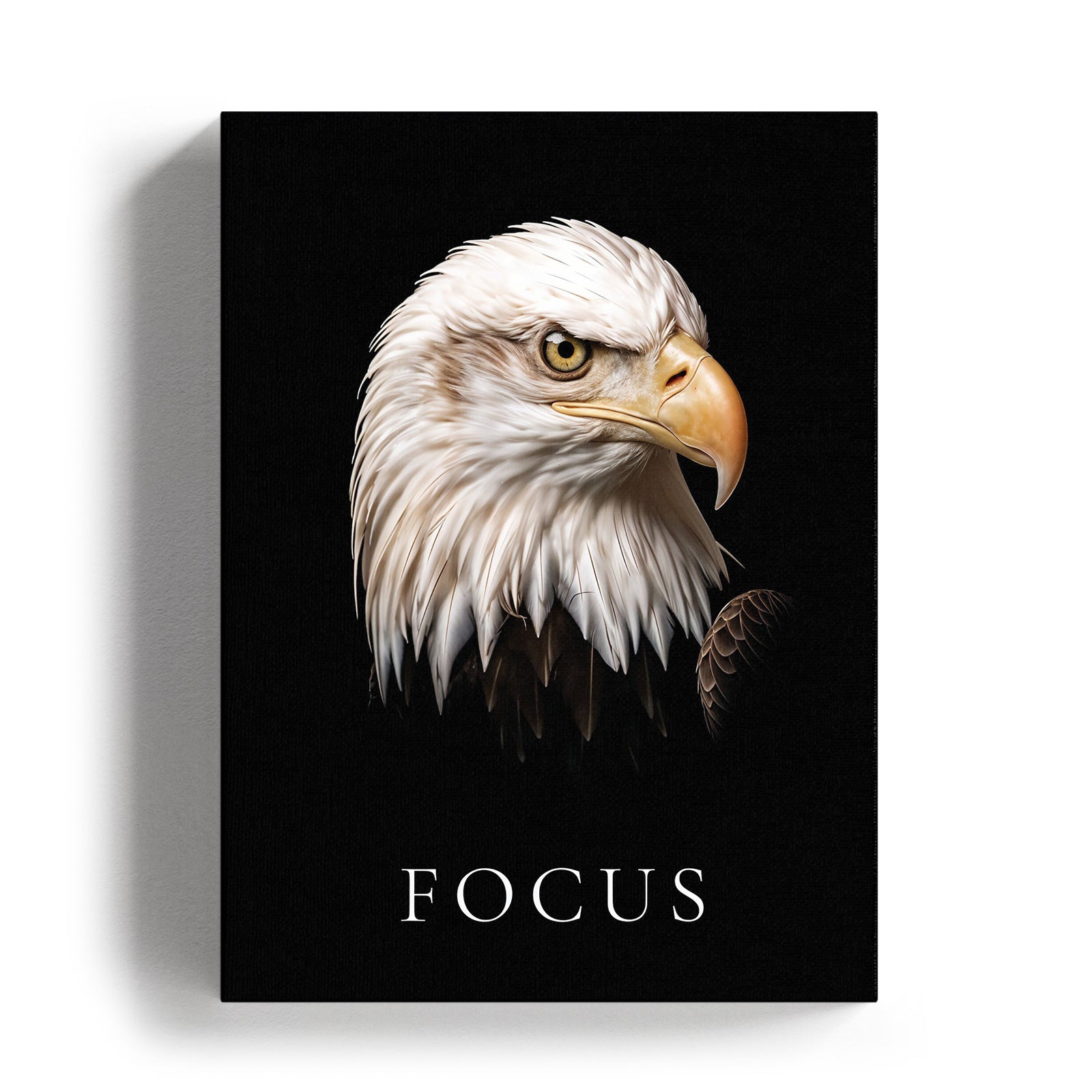 Focus