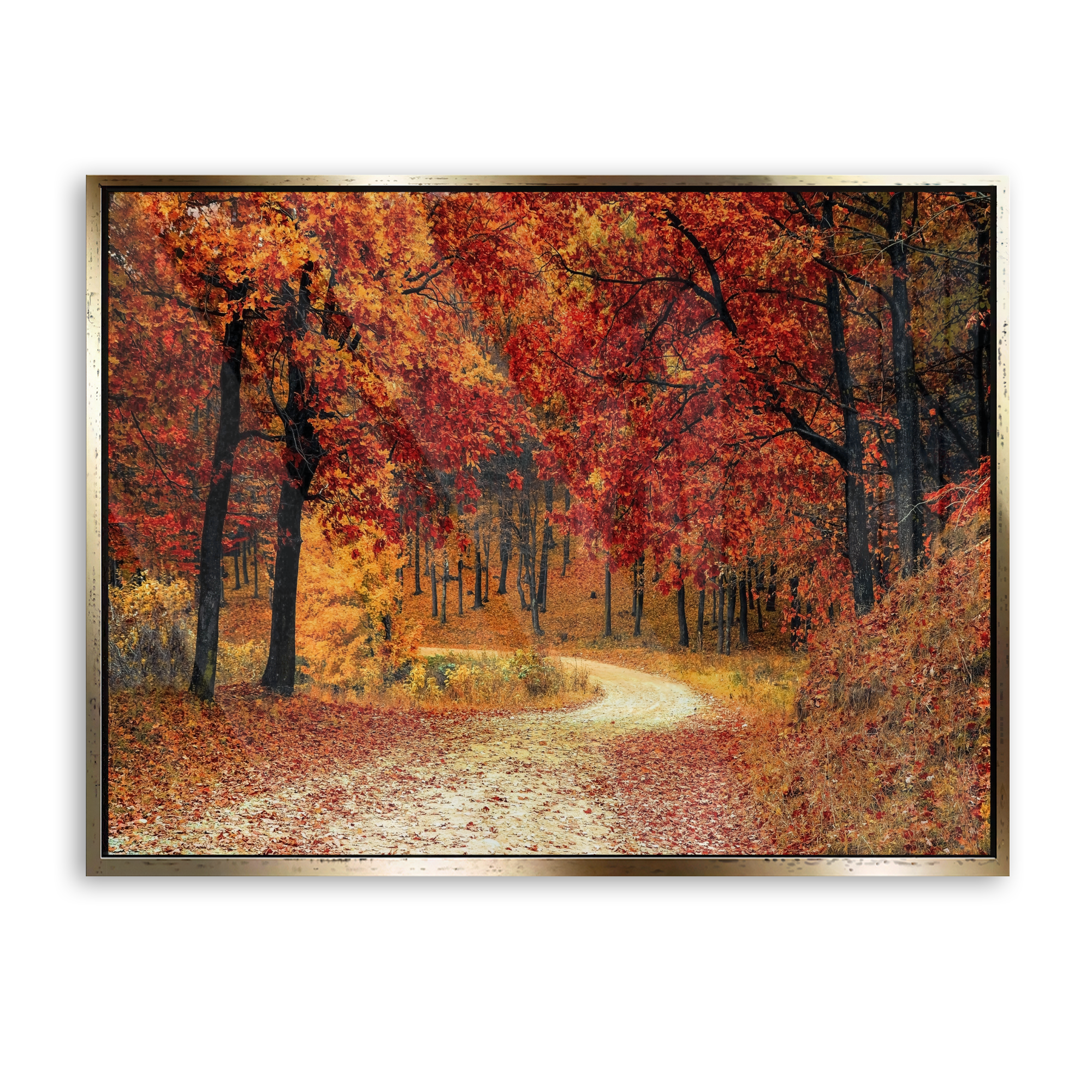Autumn Path