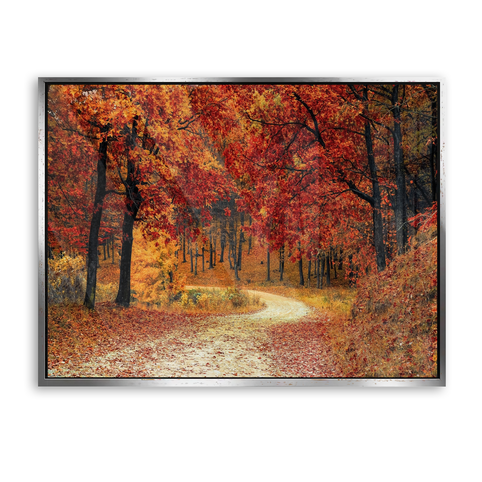 Autumn Path