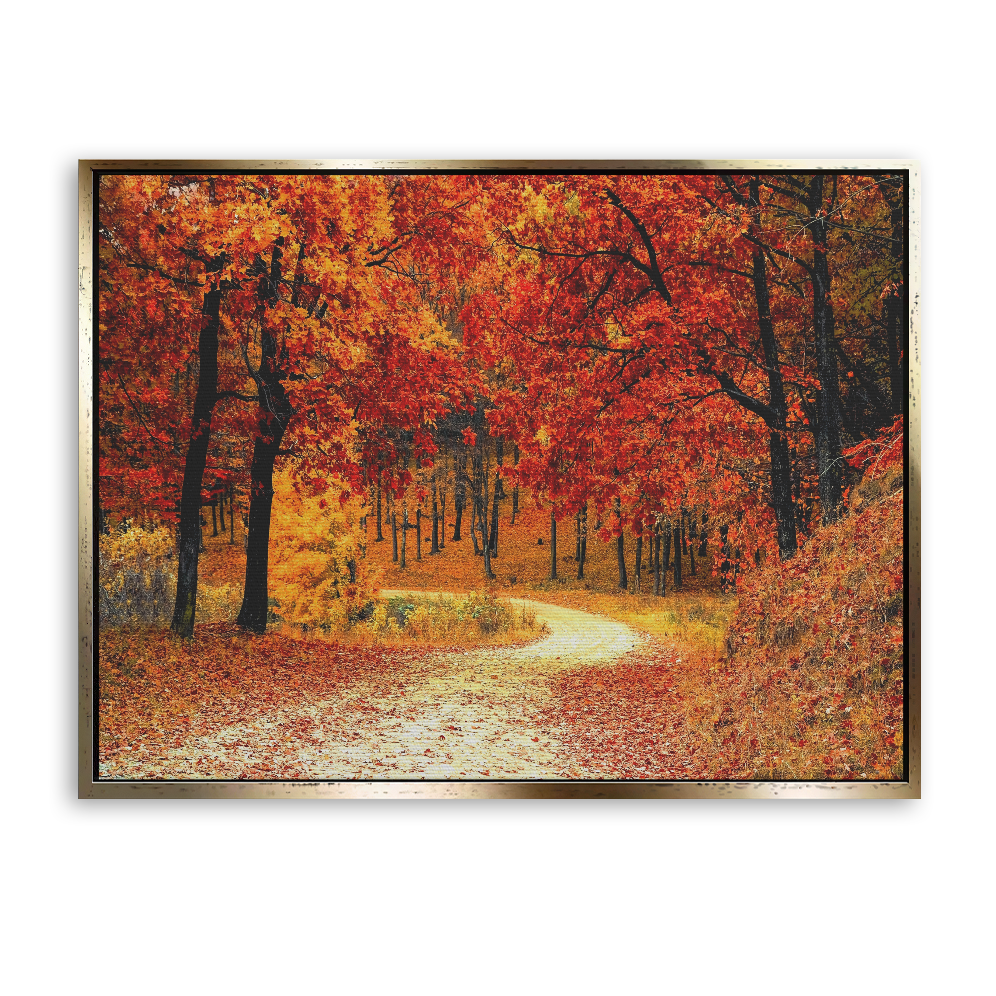 Autumn Path