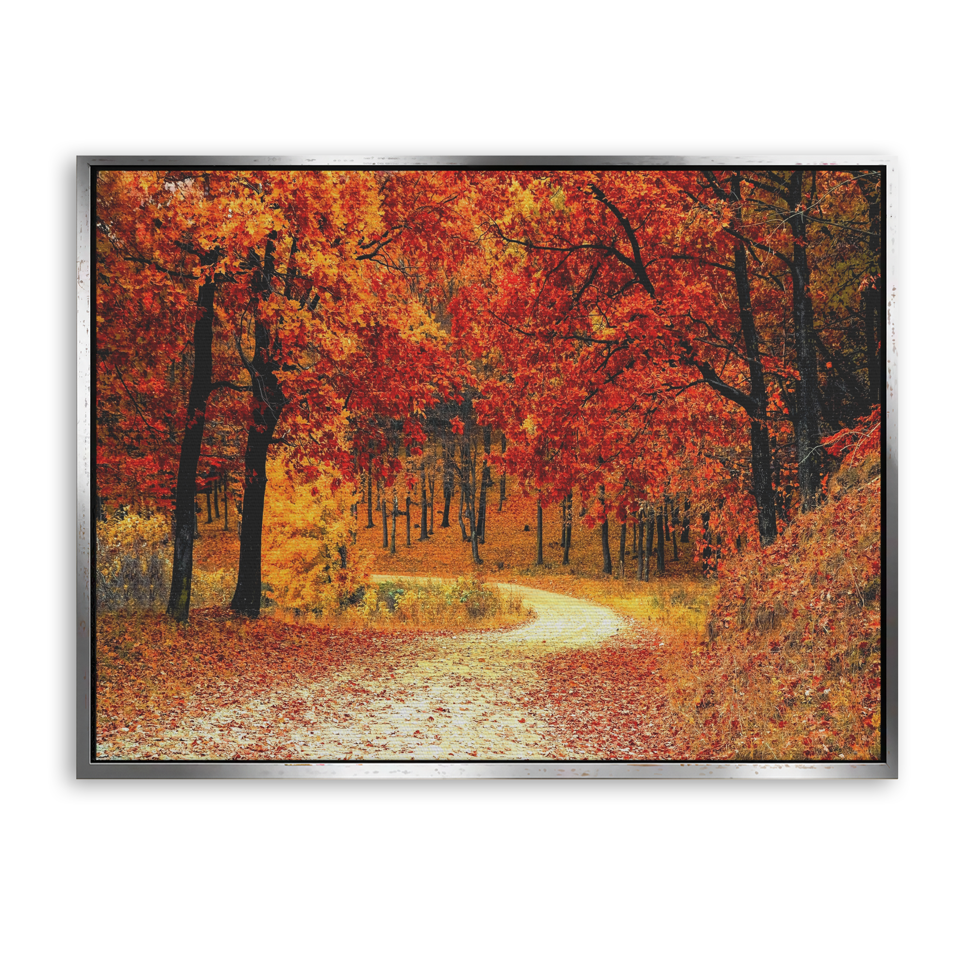 Autumn Path