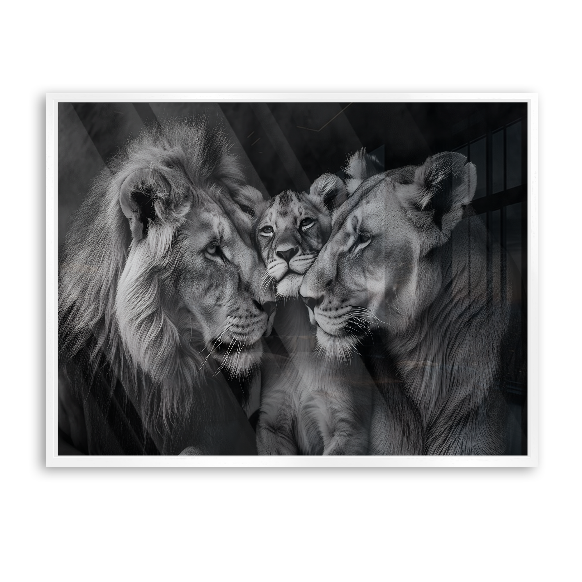 Le Roi Calme 