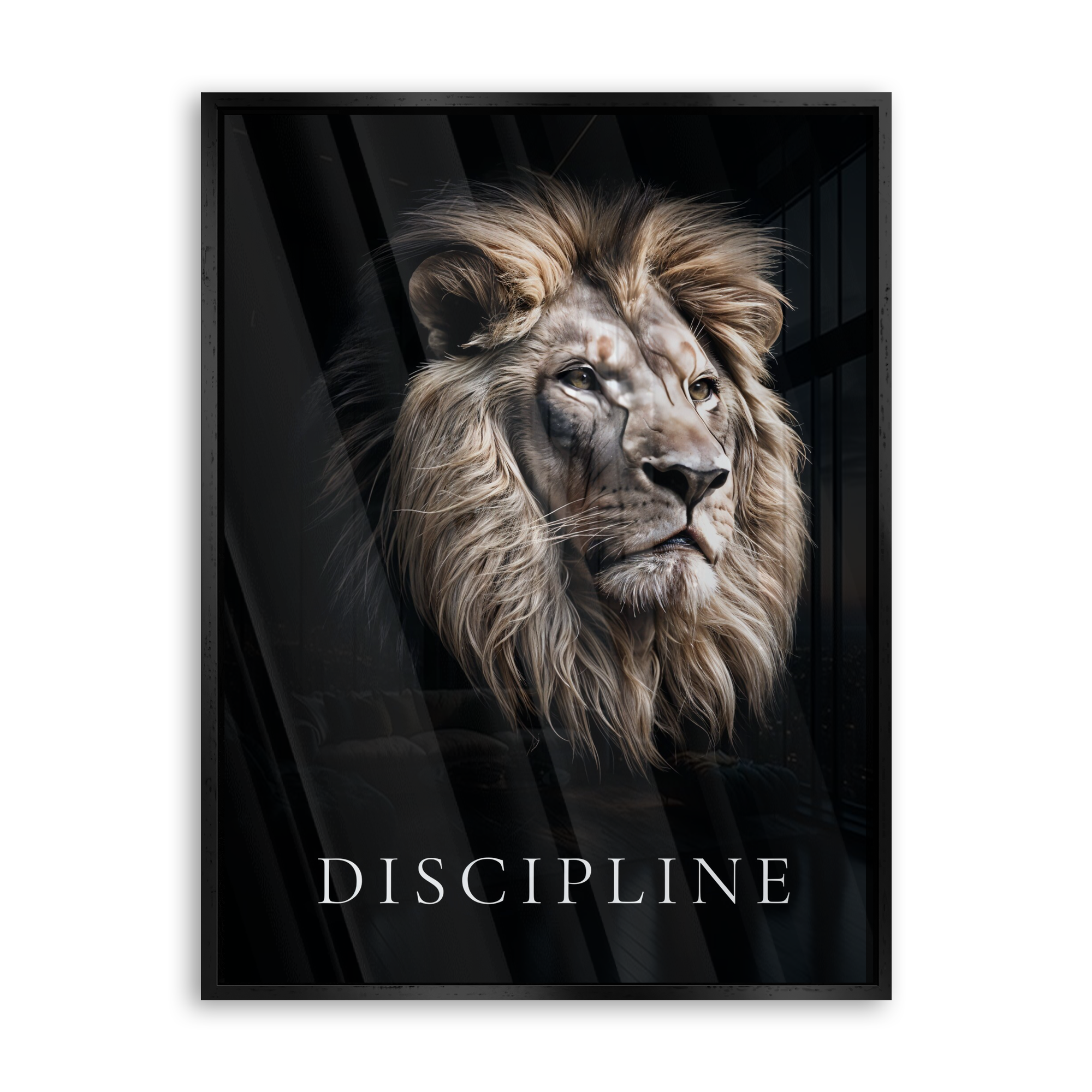 Discipline