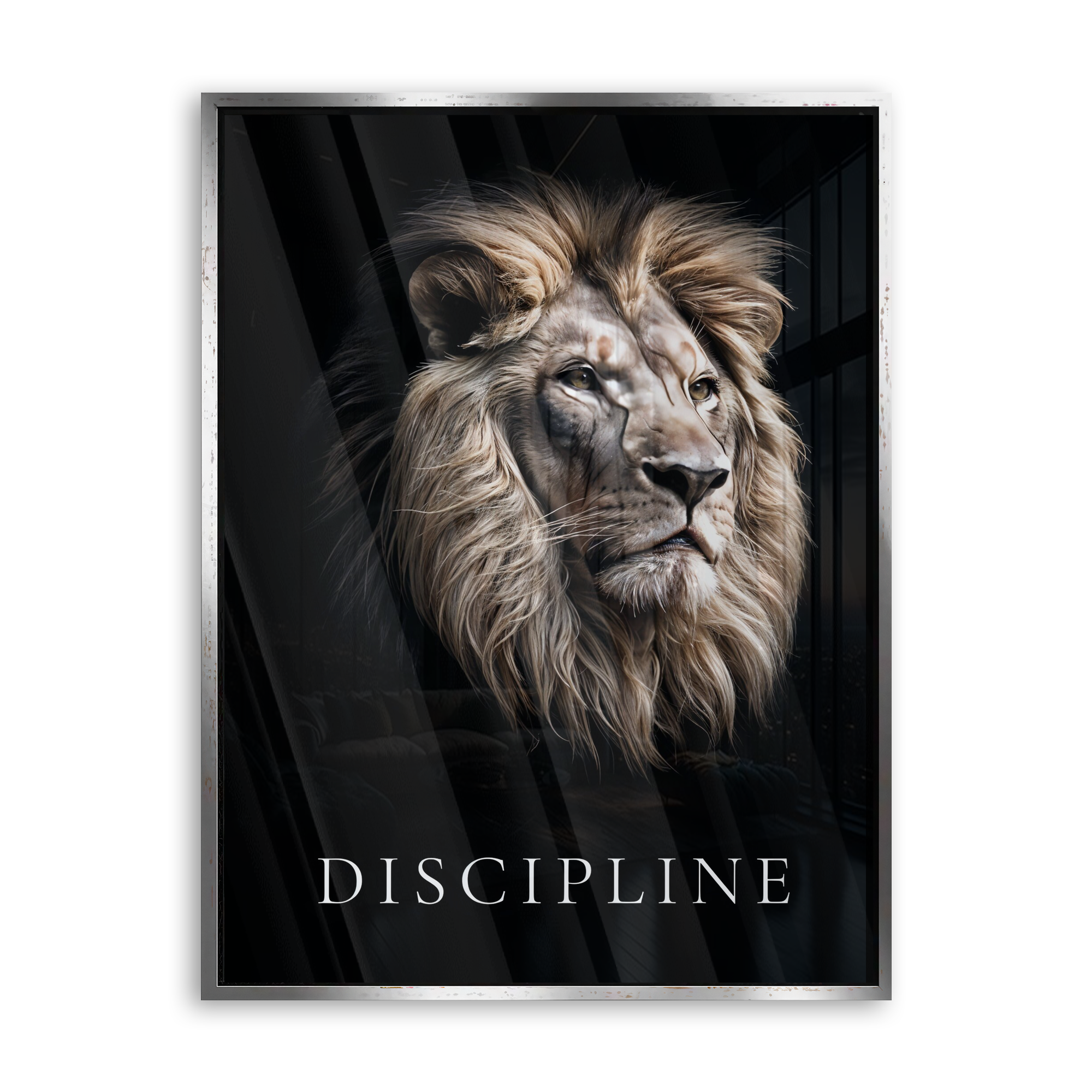 Discipline