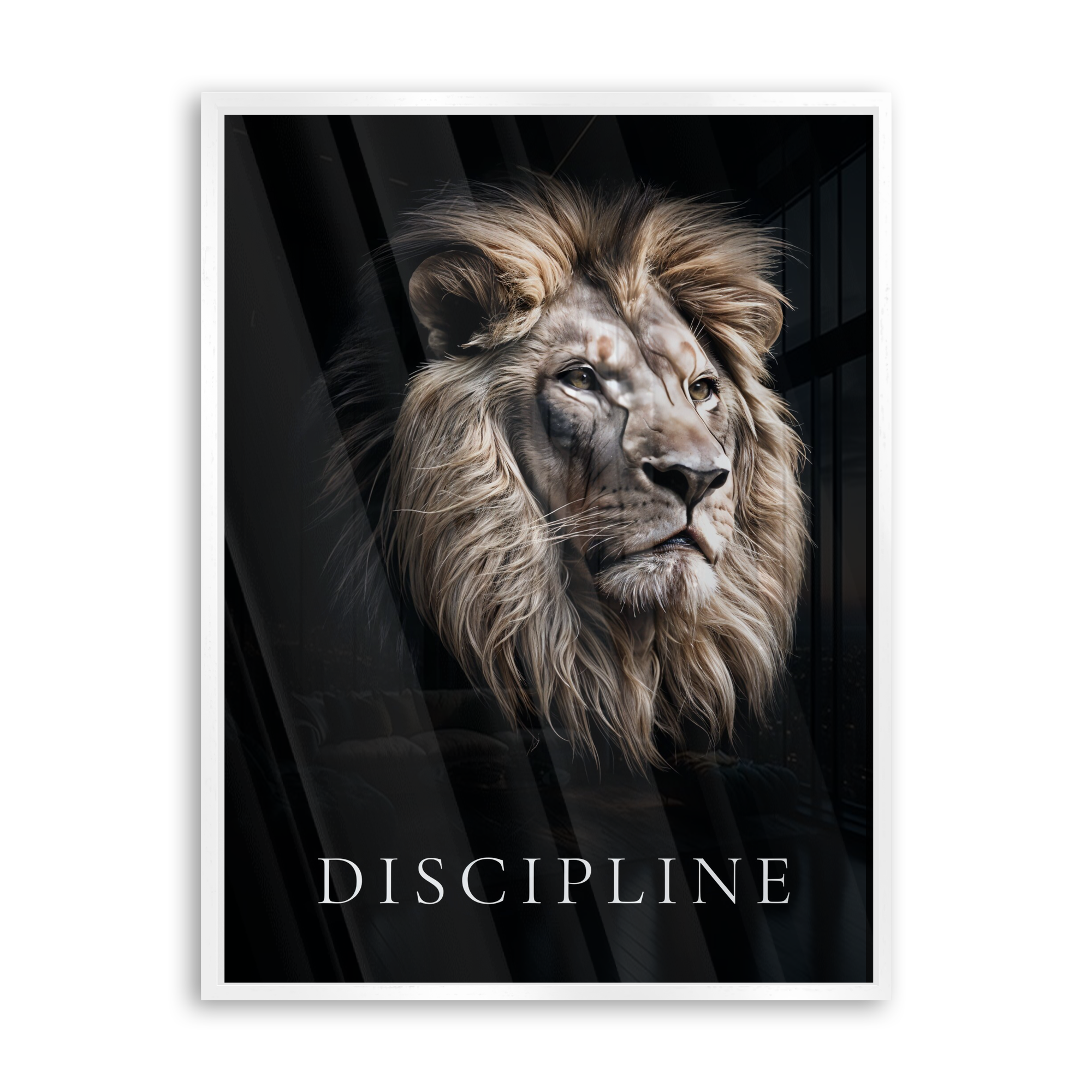 Discipline