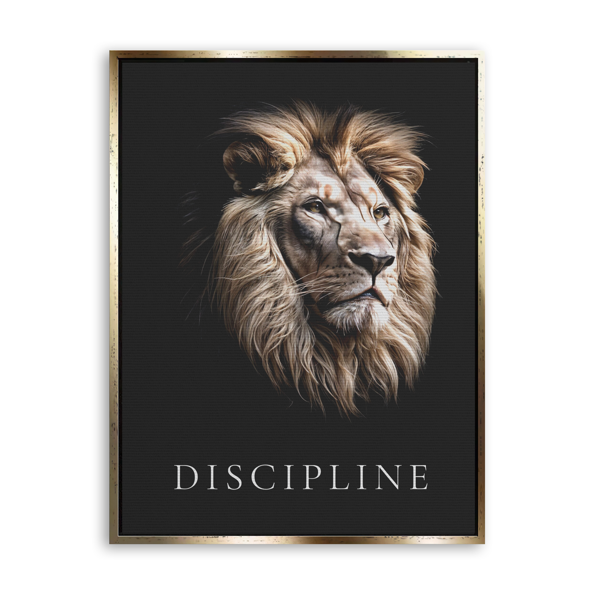 Discipline