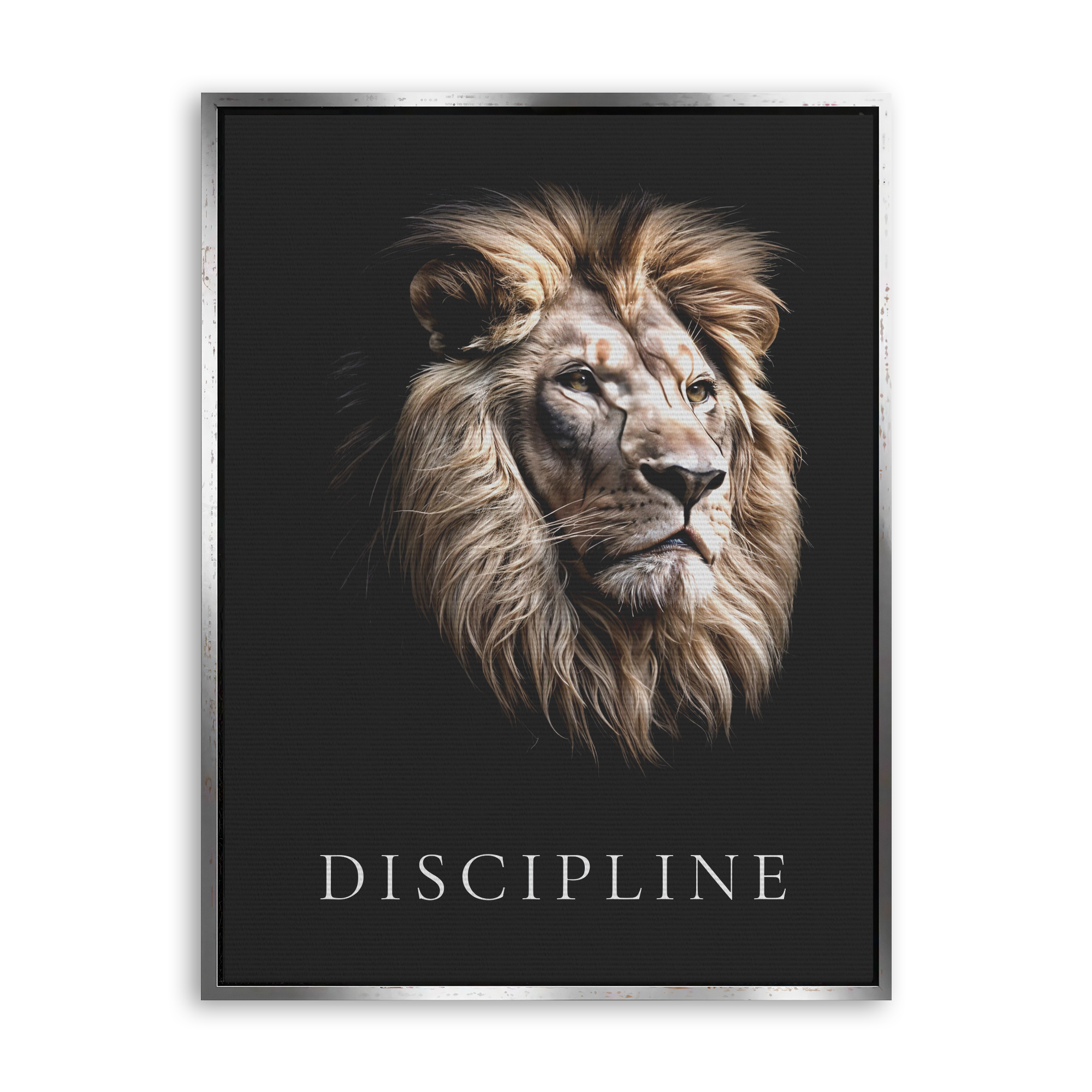 Discipline