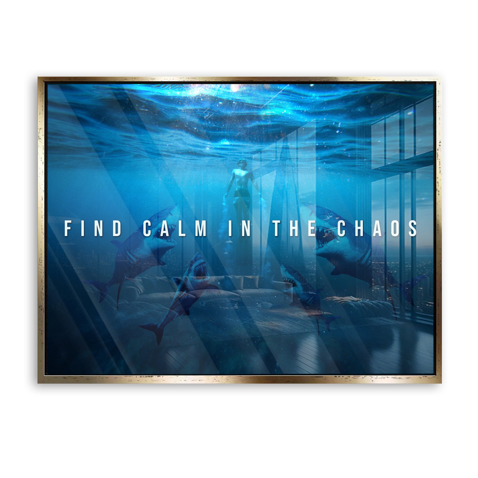Find calm in the chaos