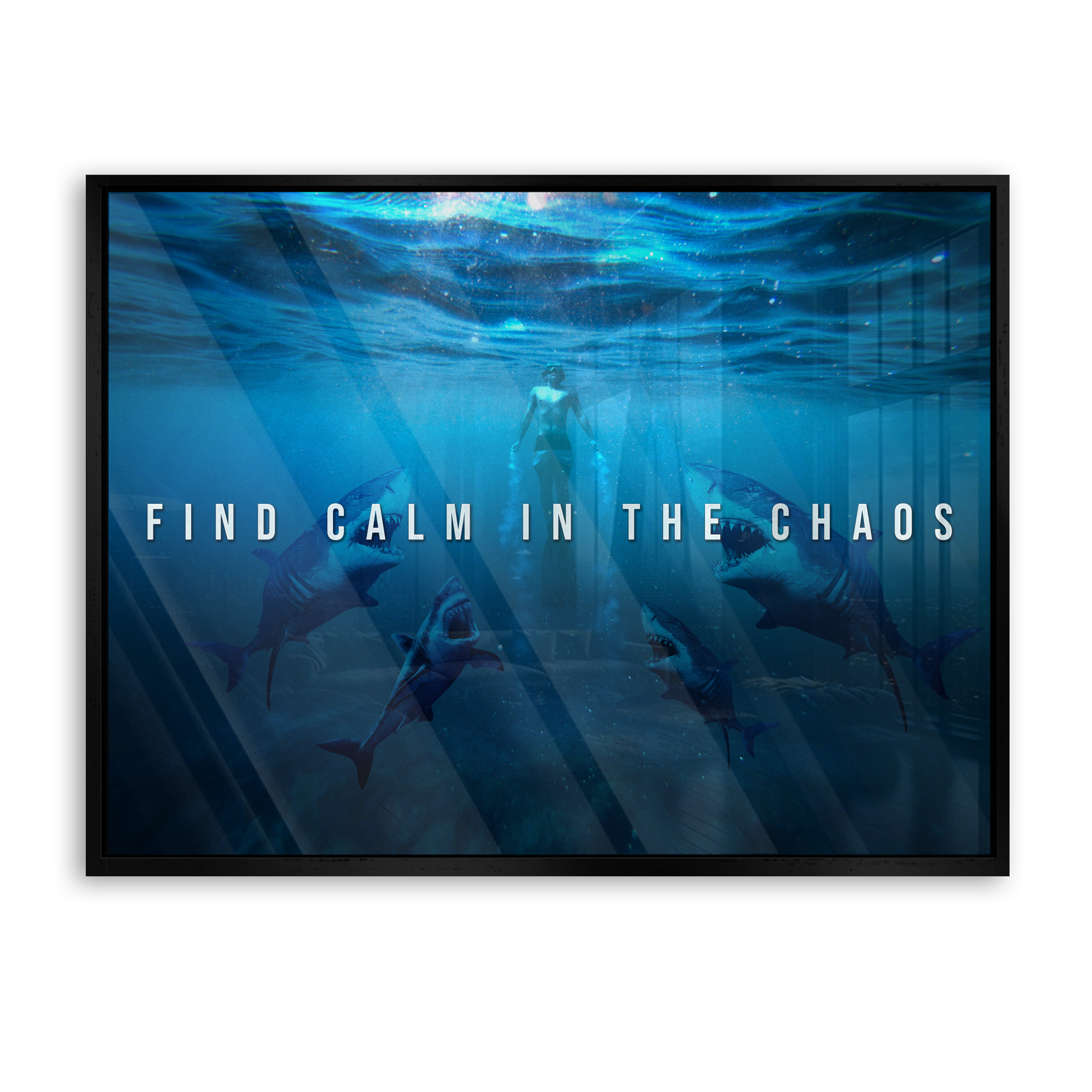 Find calm in the chaos