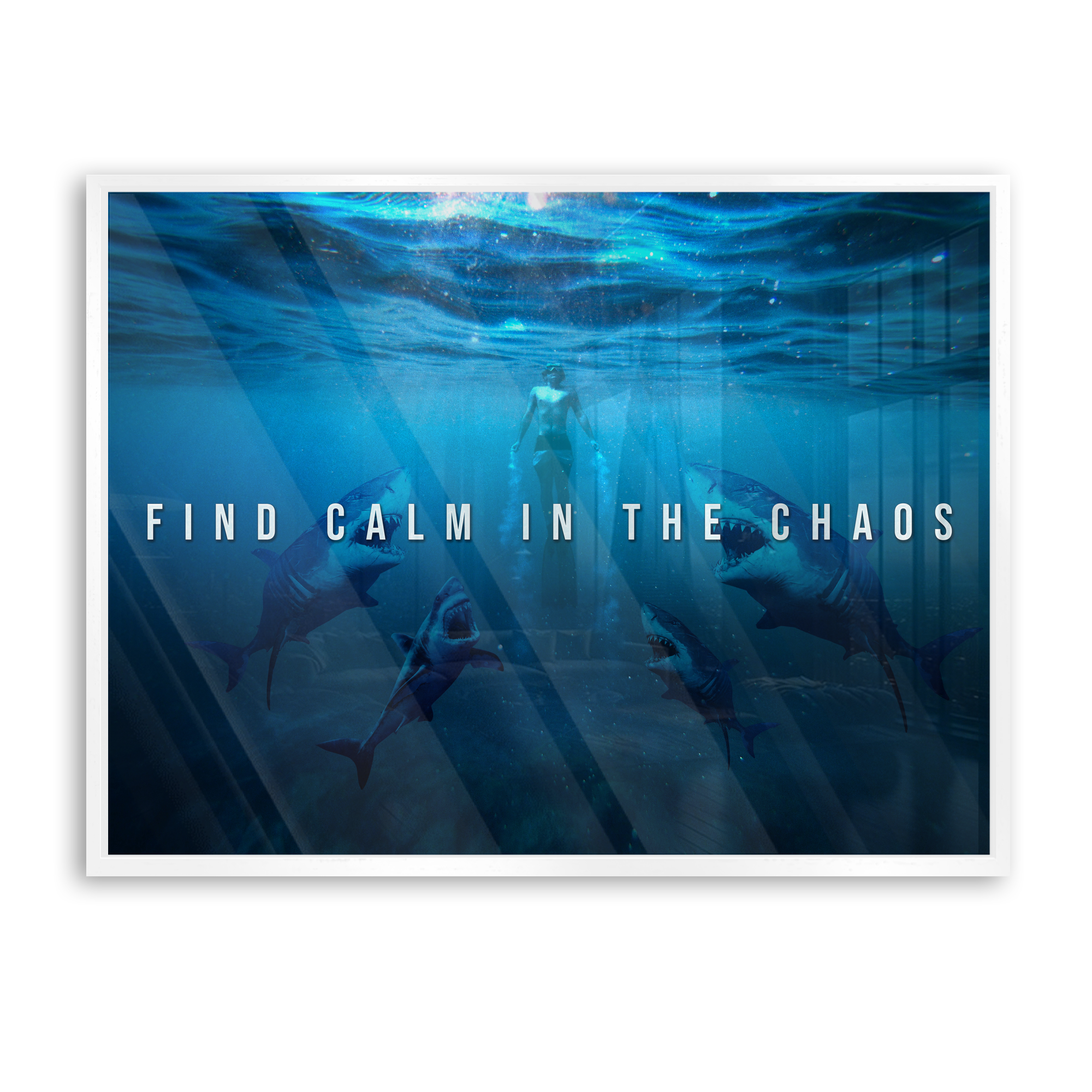 Find calm in the chaos