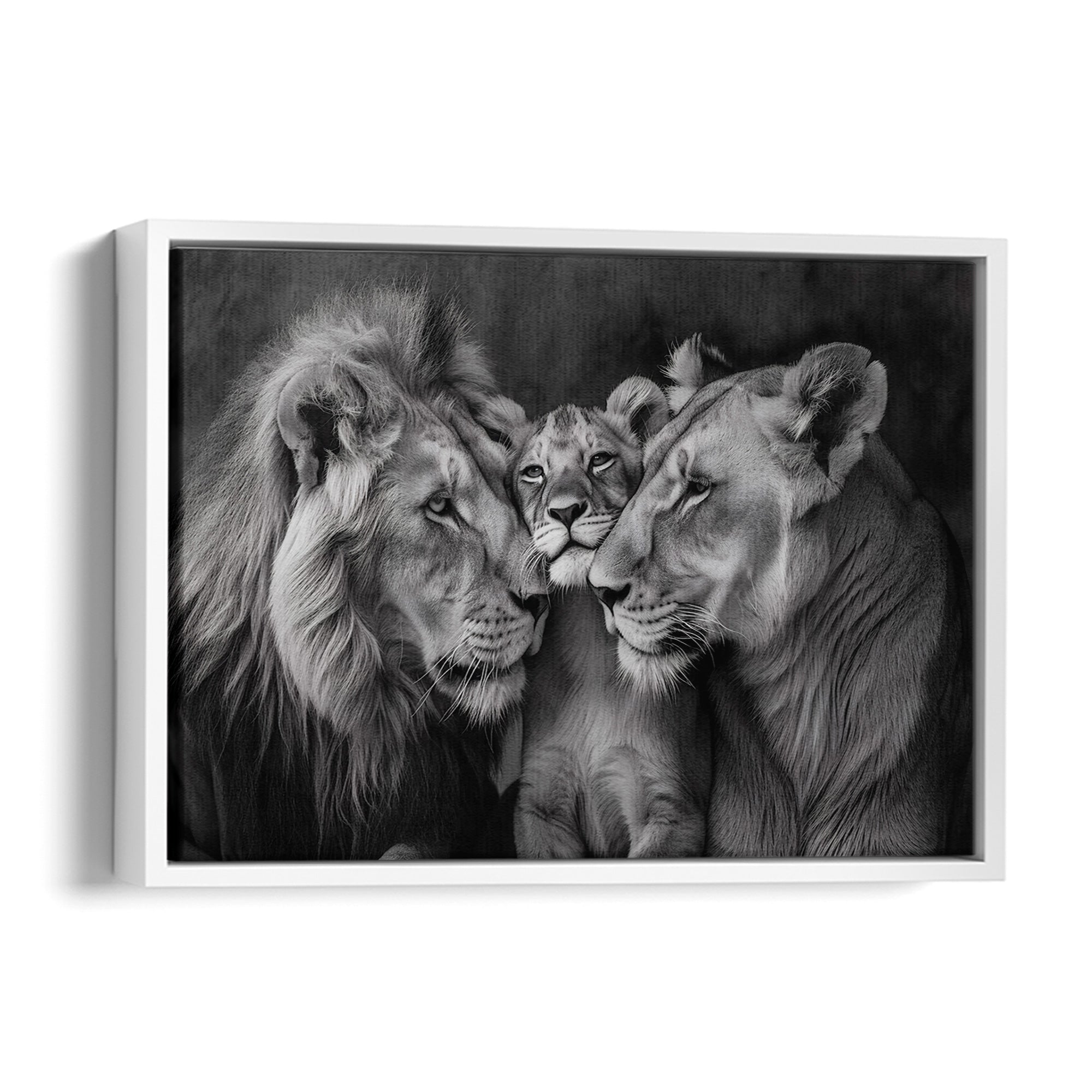 Lion Family