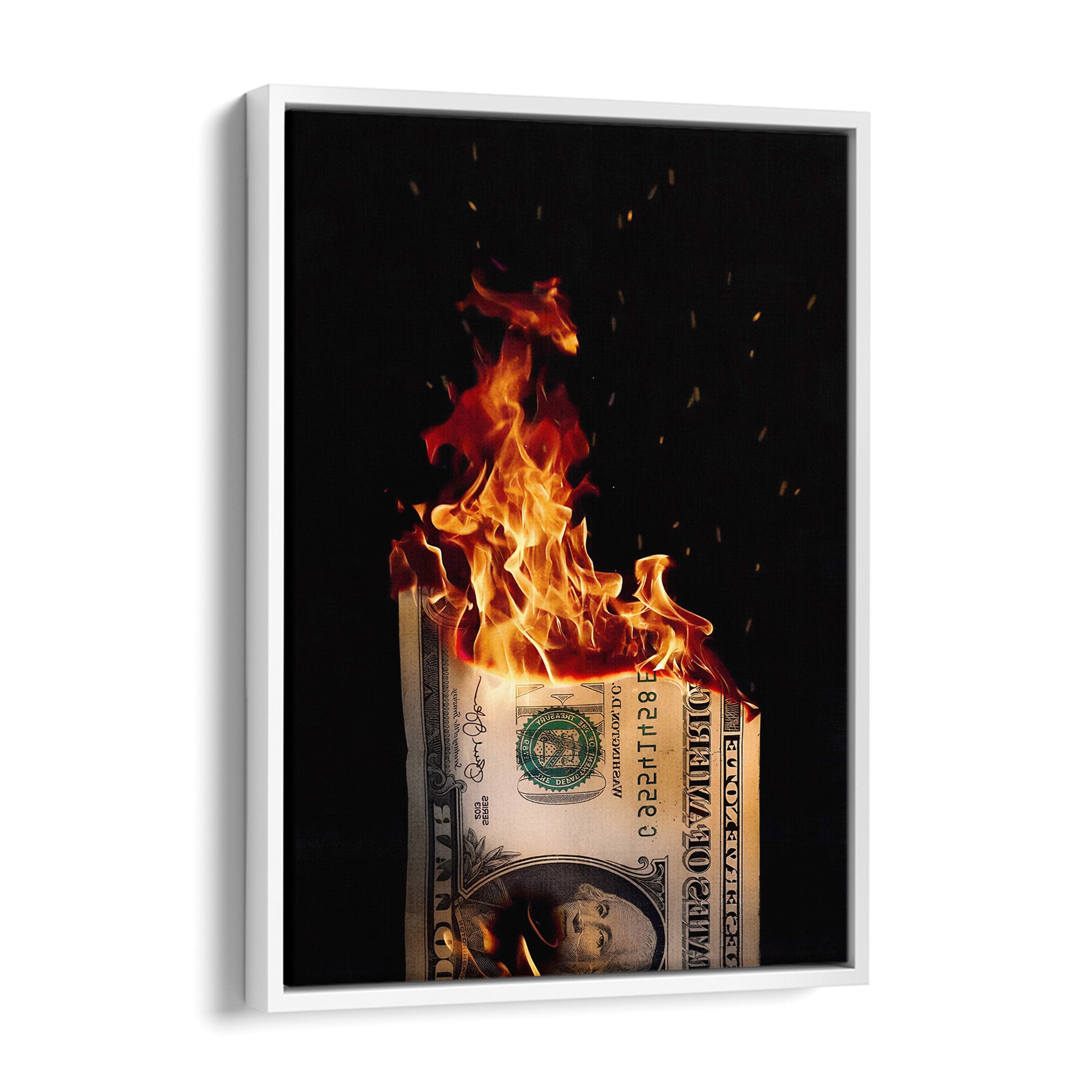 Burning Dollar