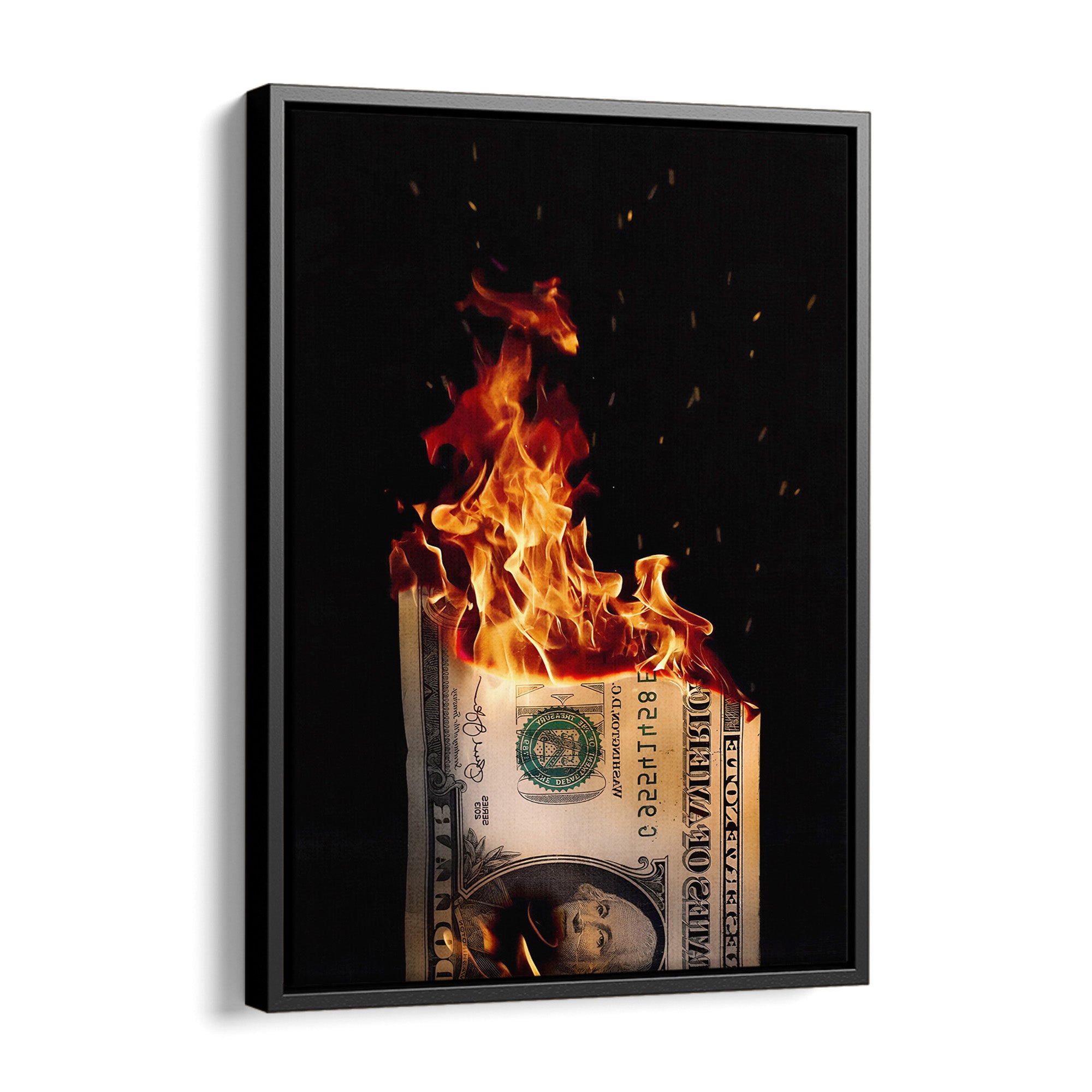 Burning Dollar