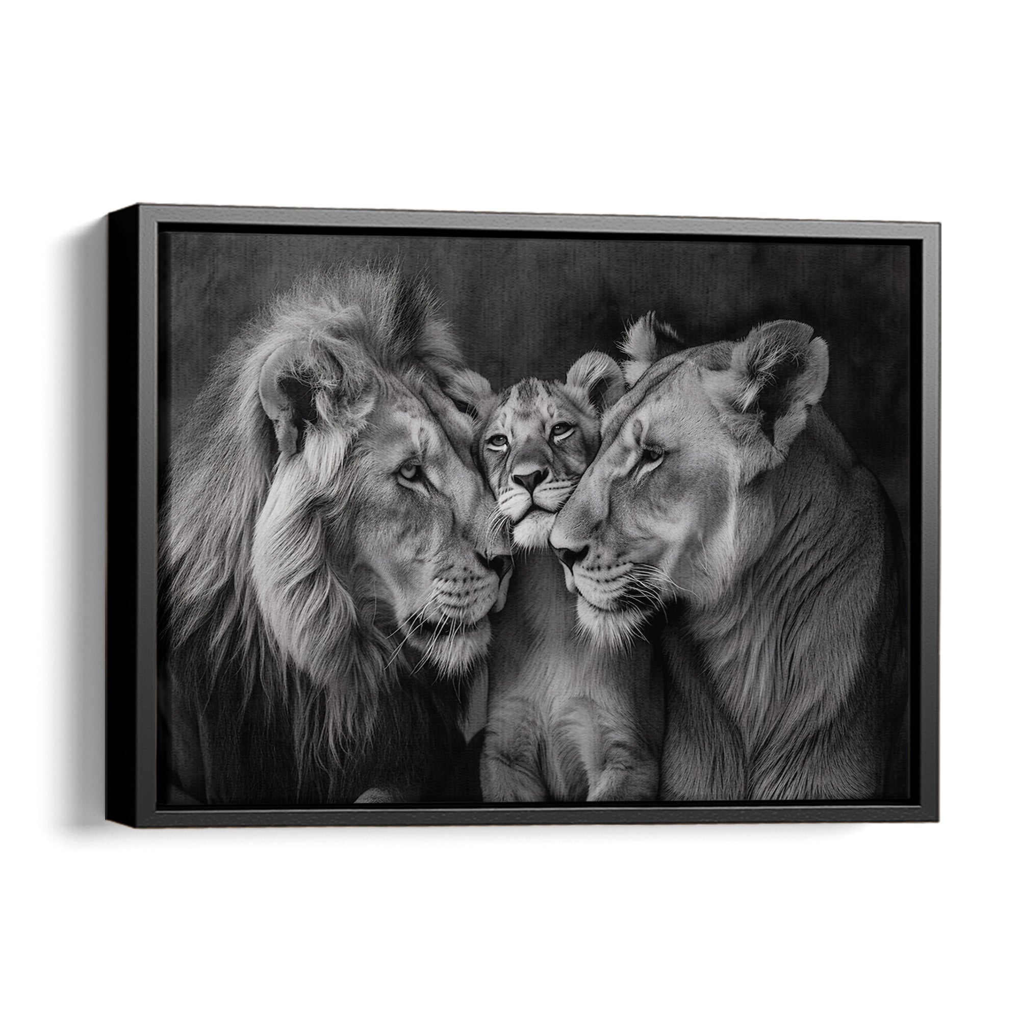 Lion Family