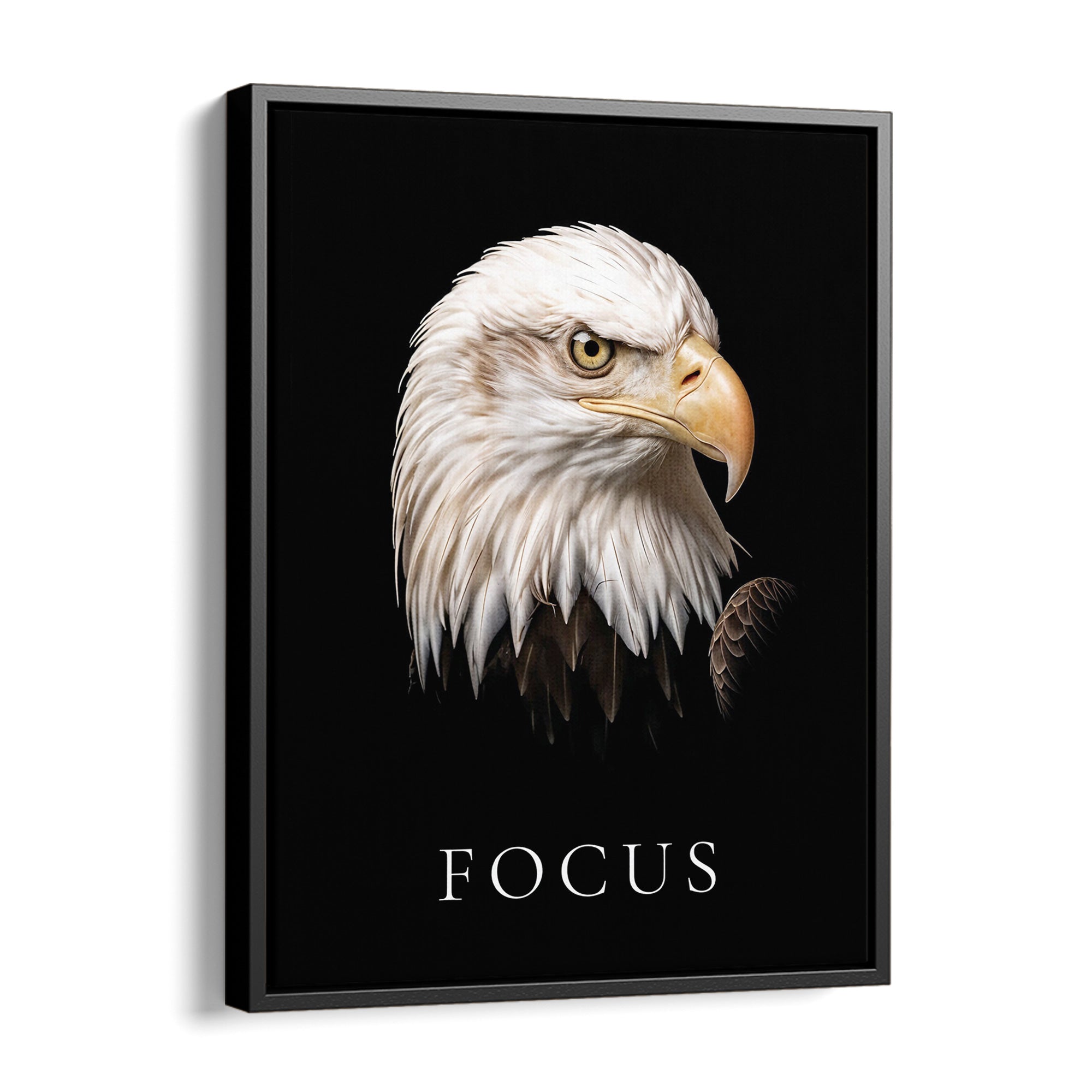 Focus