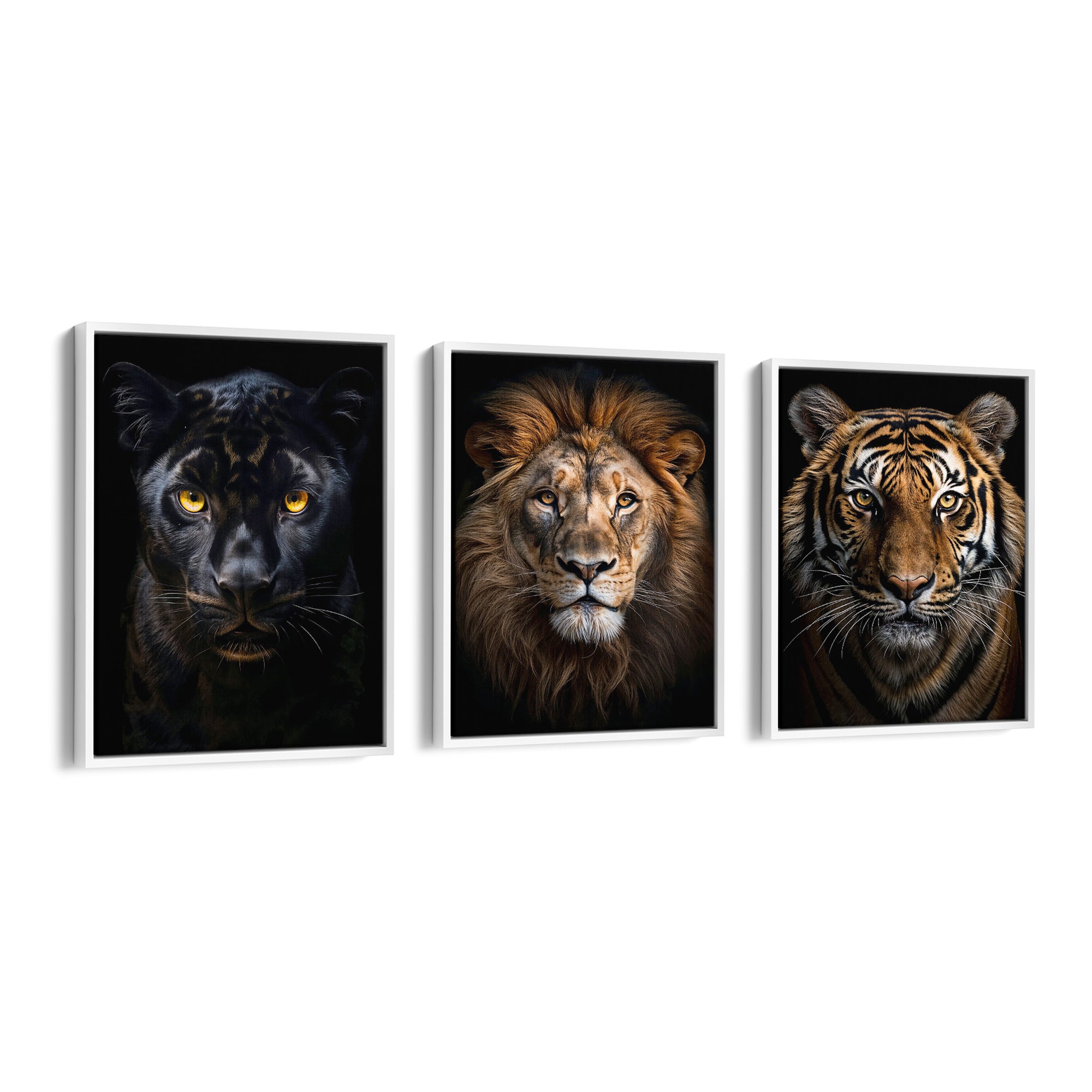 Royal Predators Collection