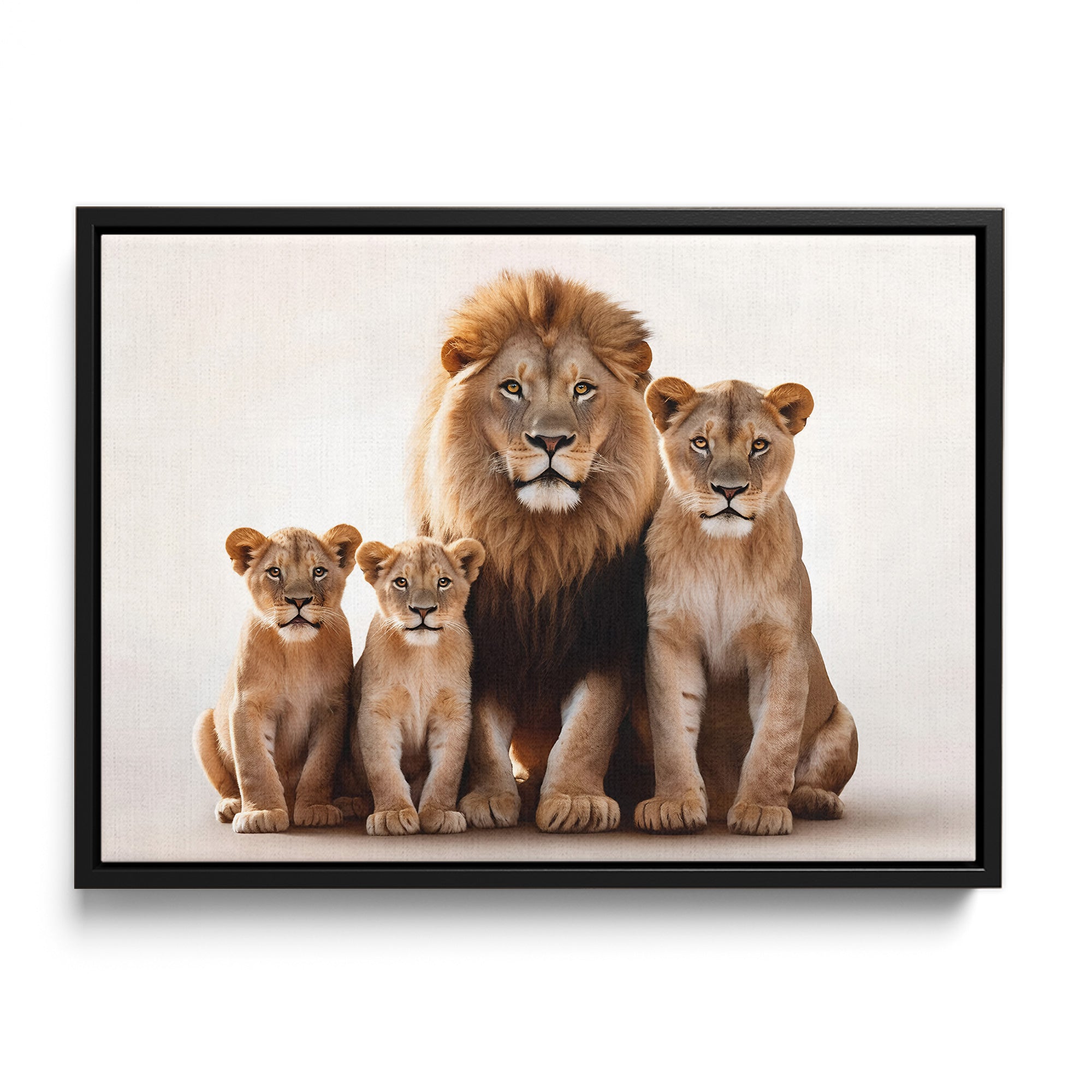 Lion Family