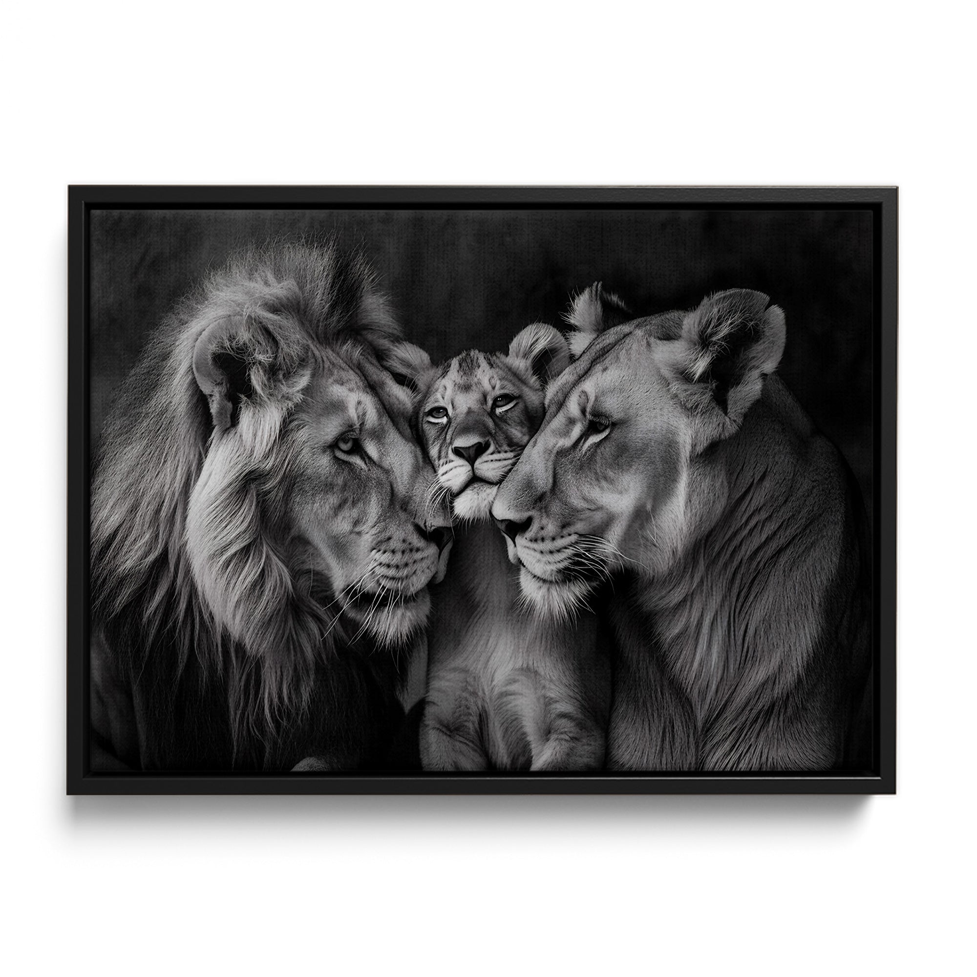 Lion Family