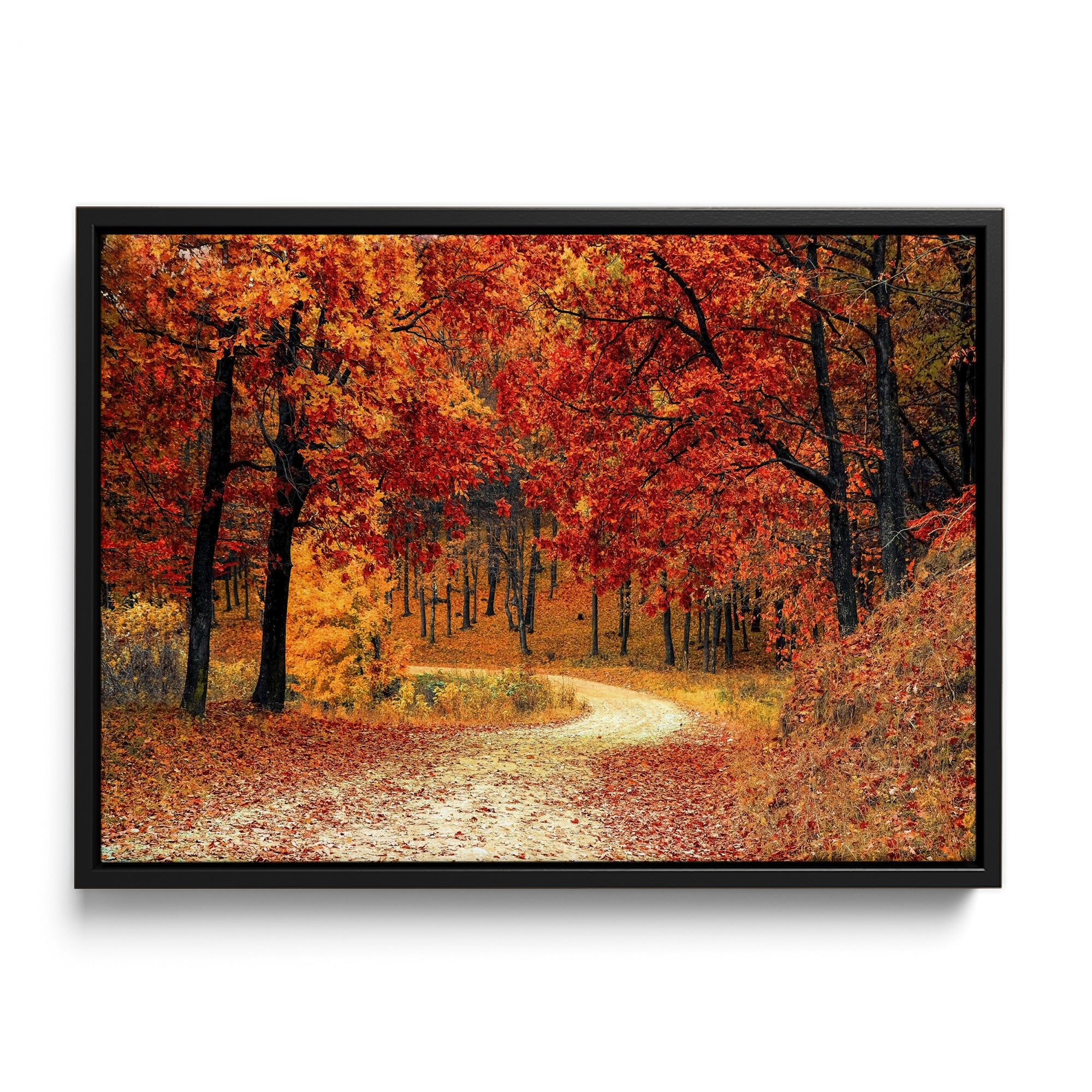 Autumn Path