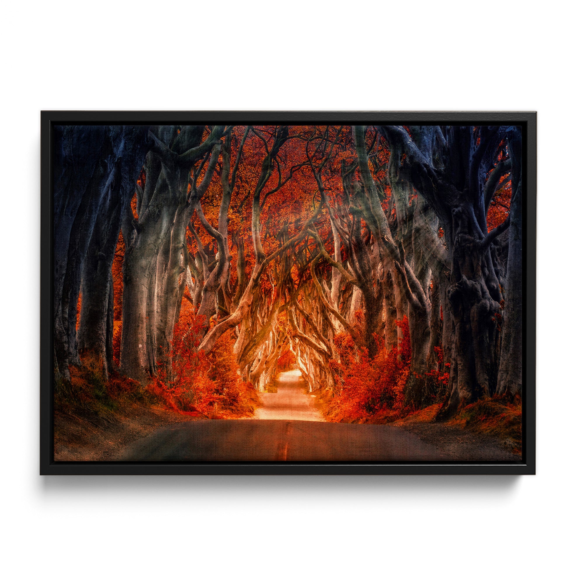 Autumn Path