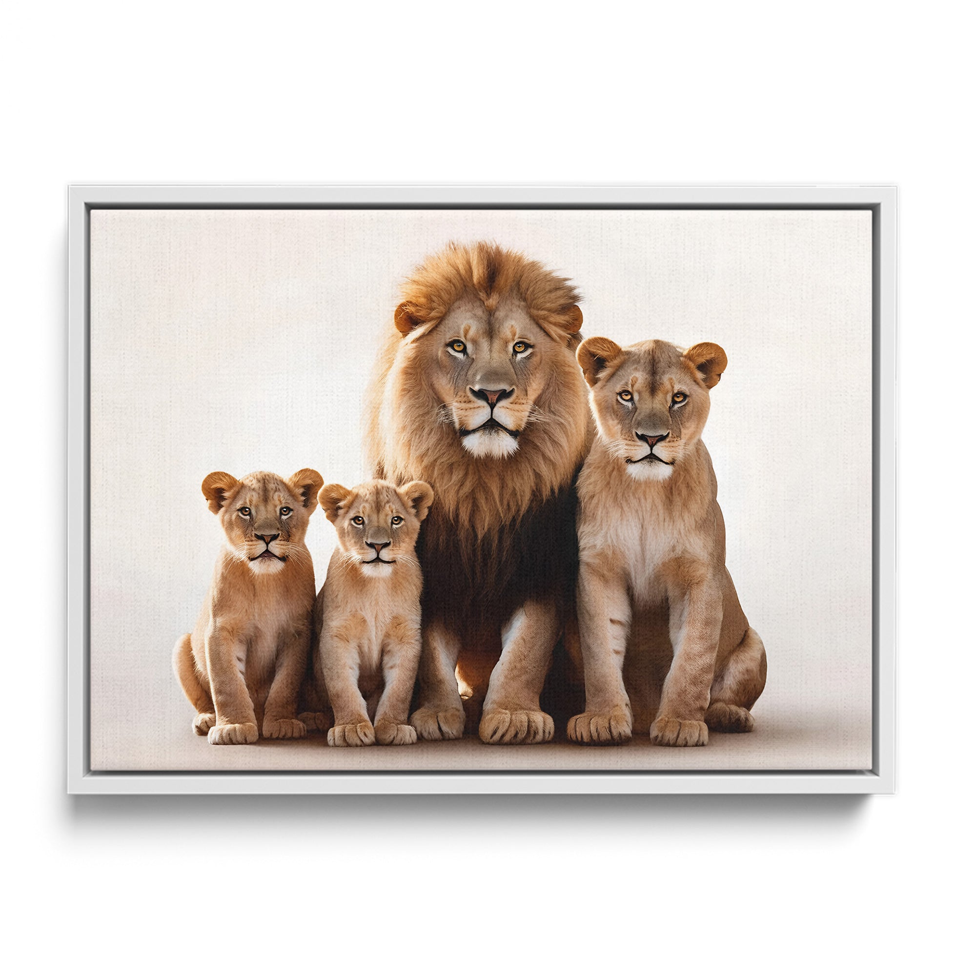 Lion Family