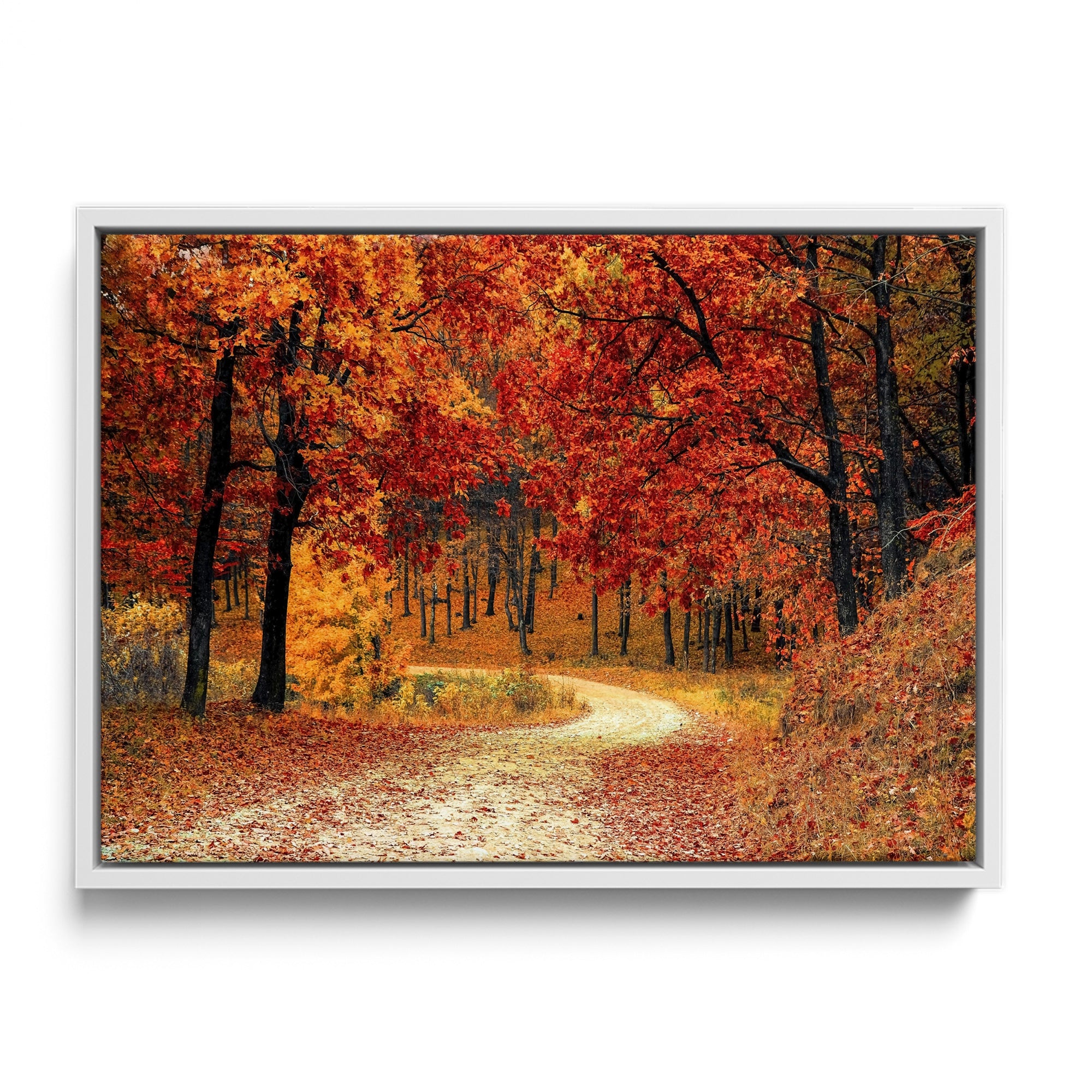 Autumn Path
