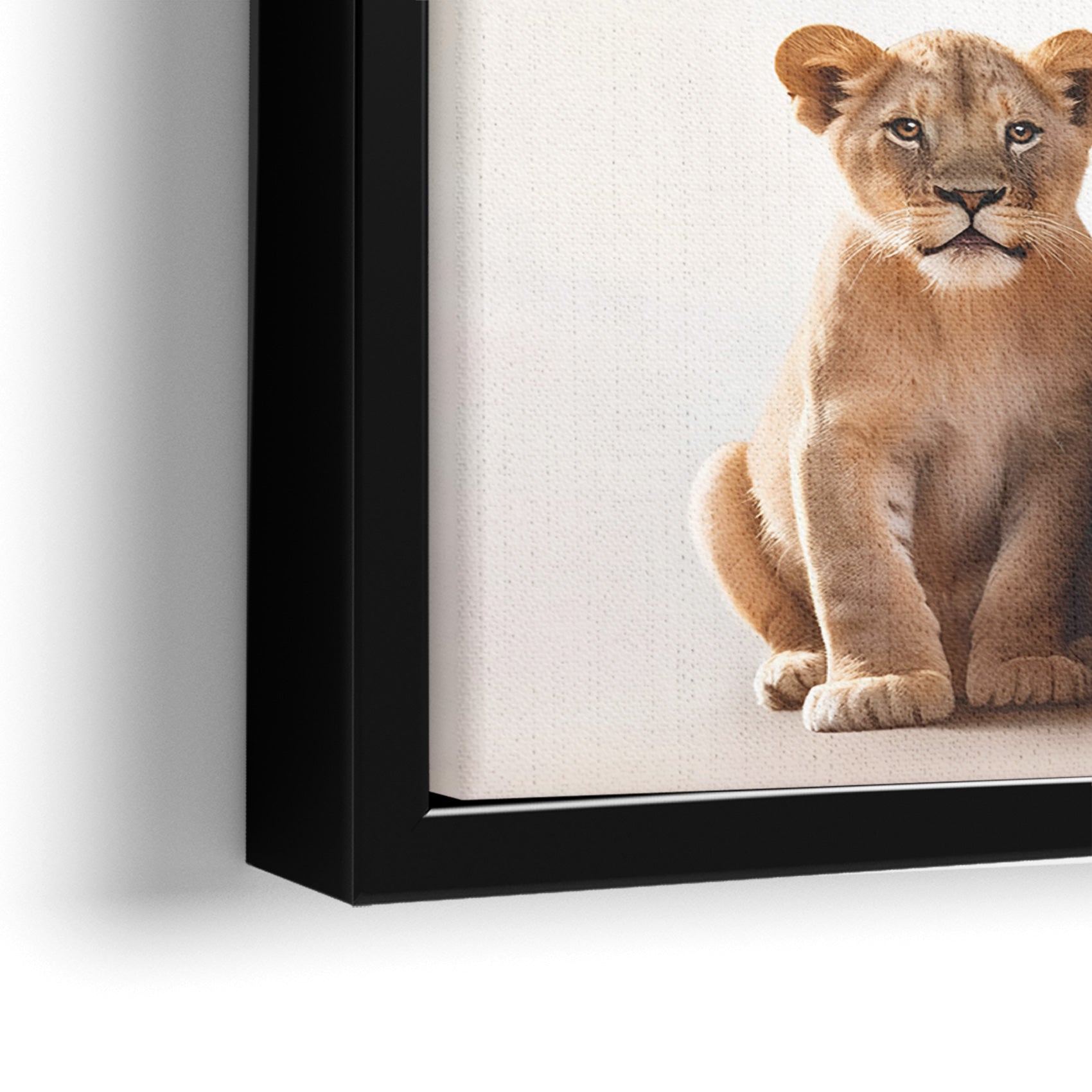 Lion Family