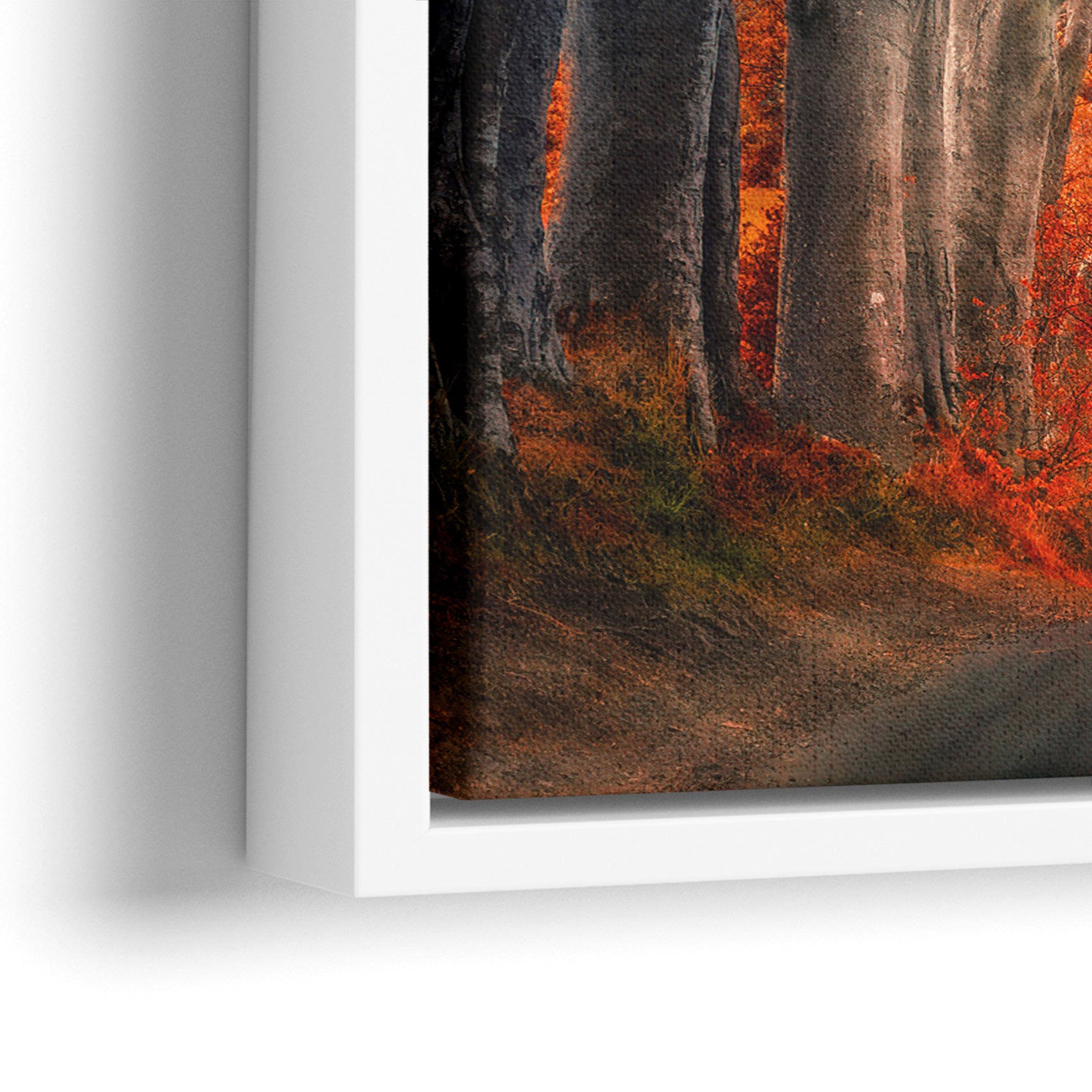Autumn Path