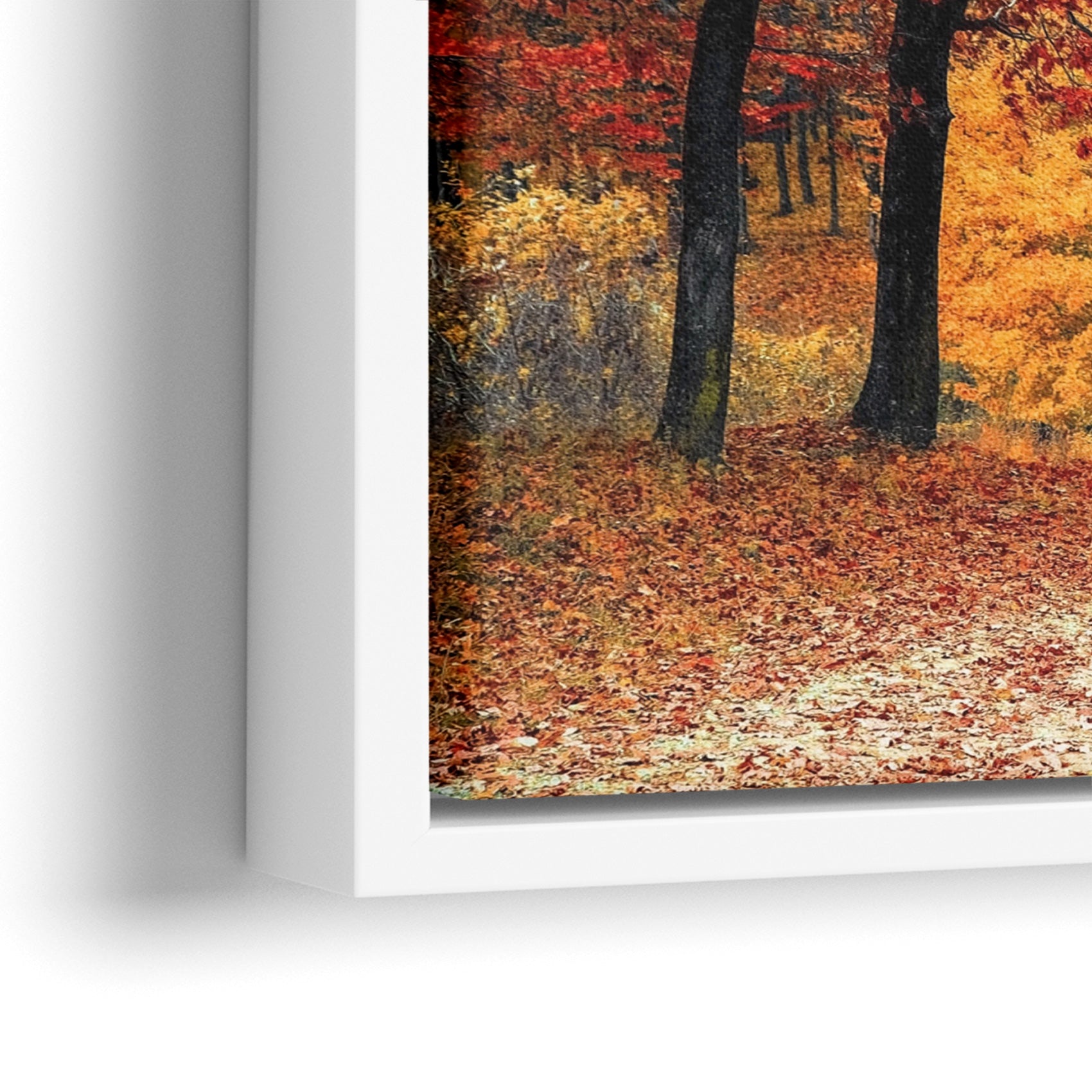 Autumn Path