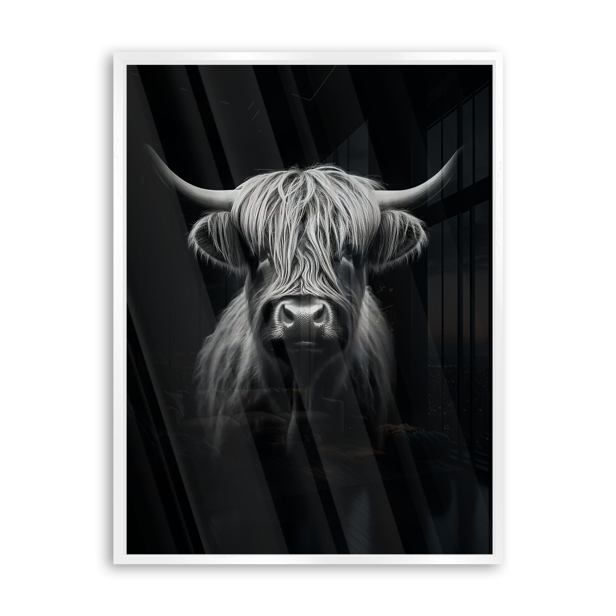 Highlander