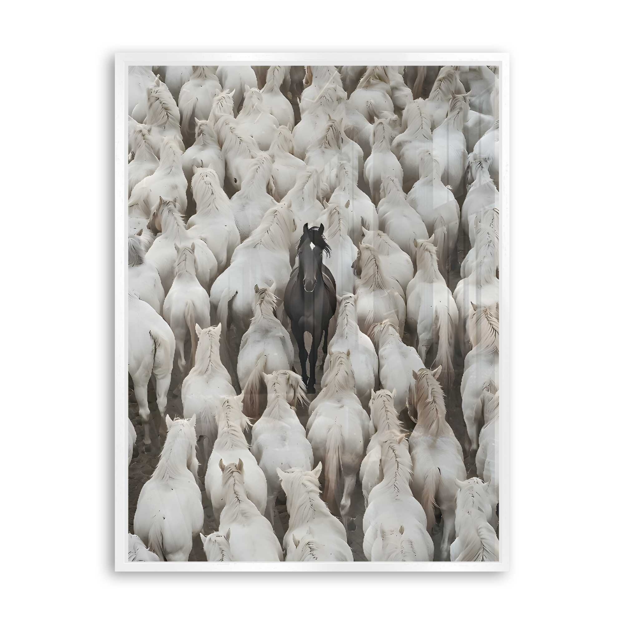 Dare to Be Different