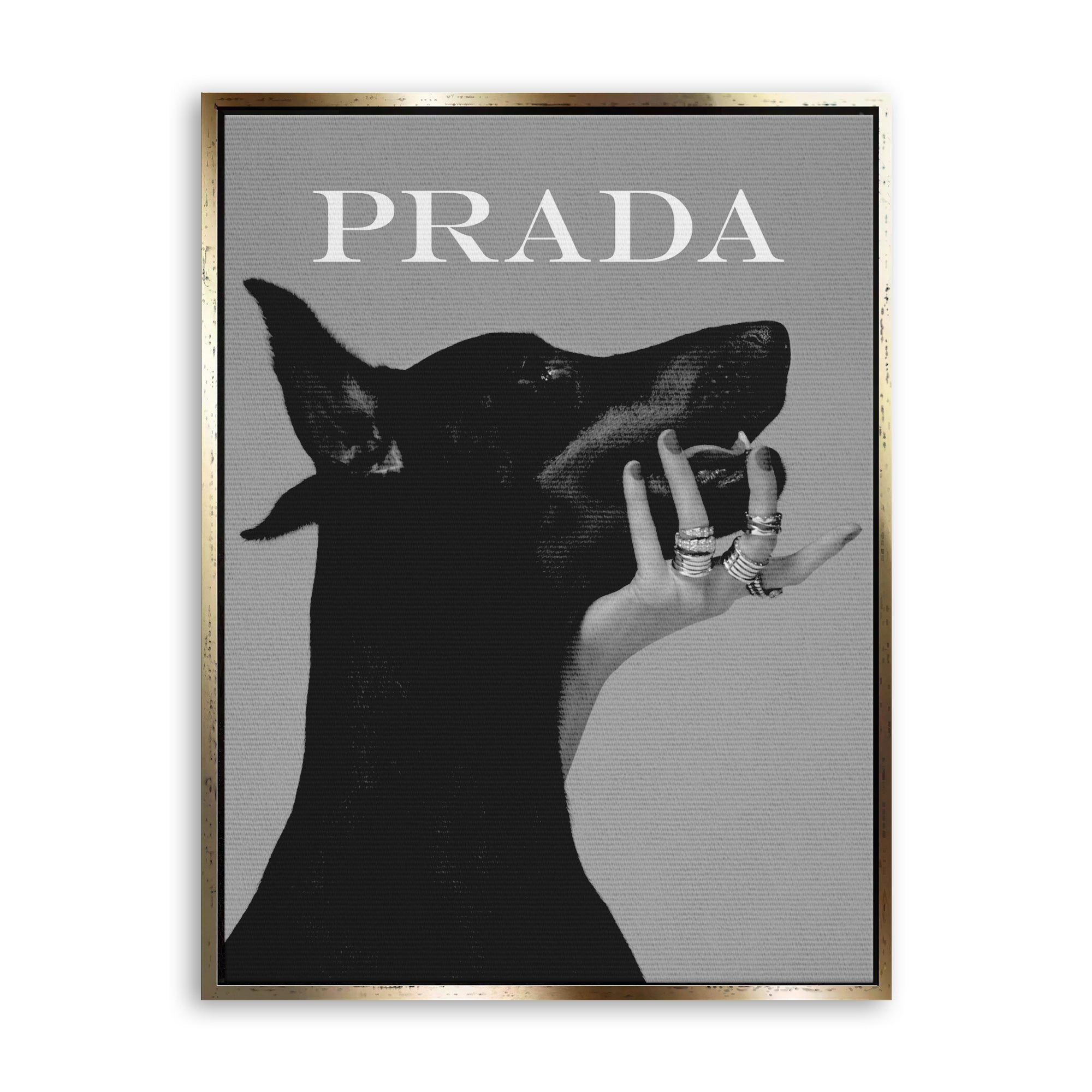 Luxury Dog 