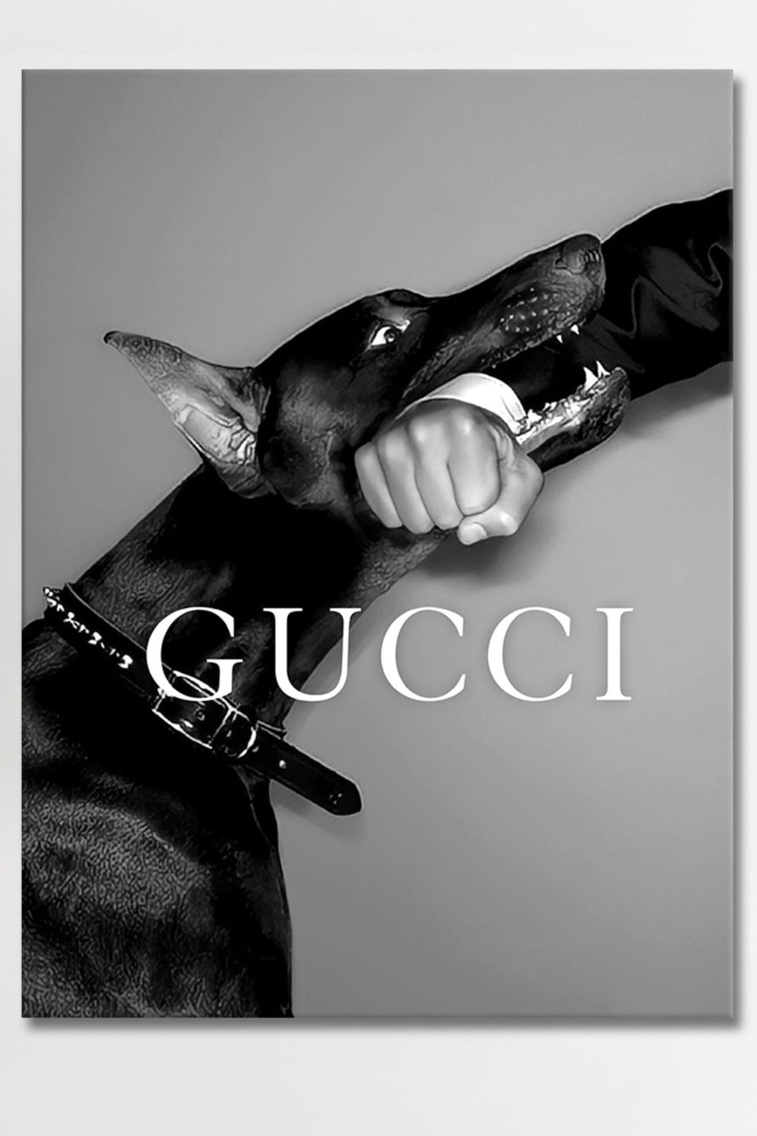Luxury Dog