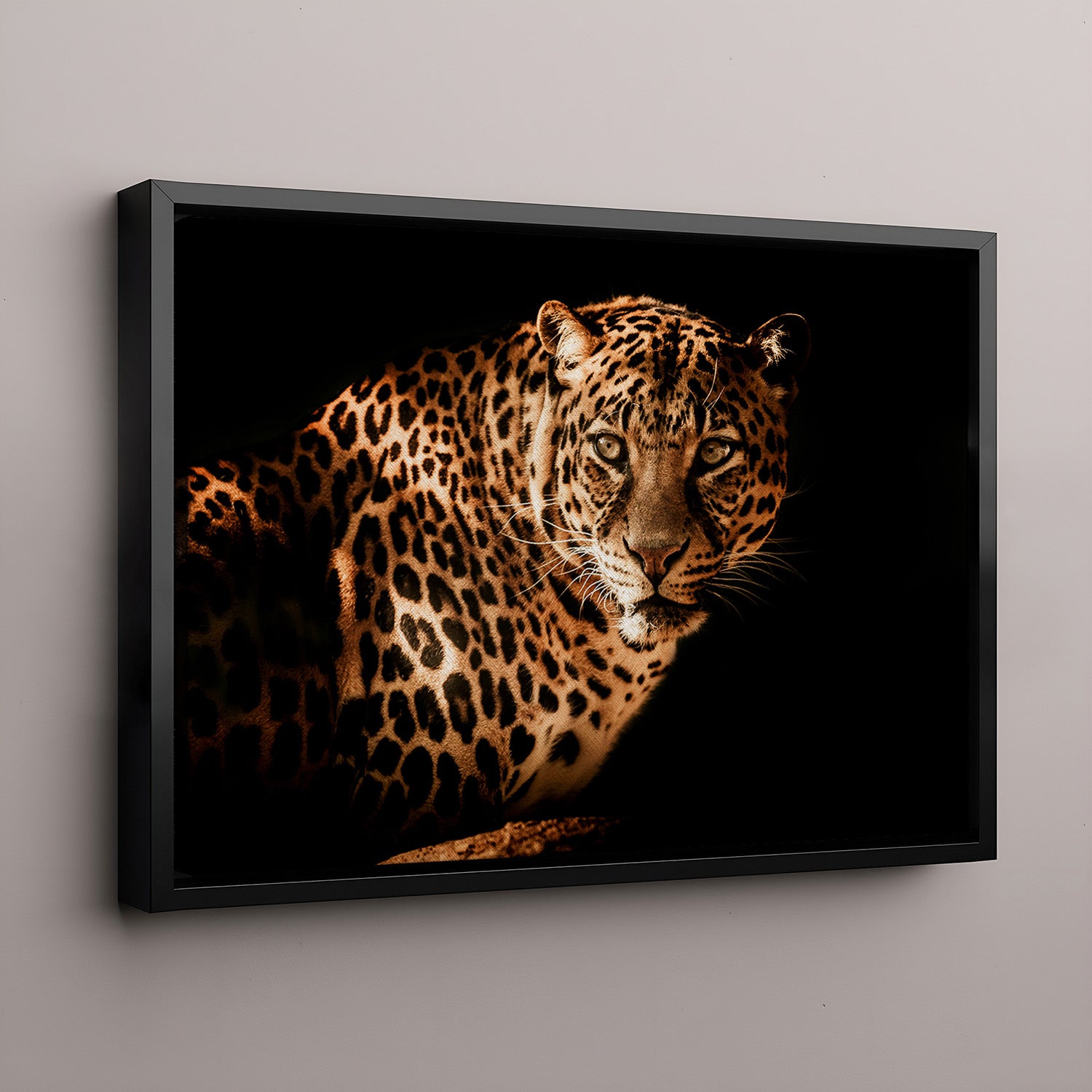 Tiger with black 