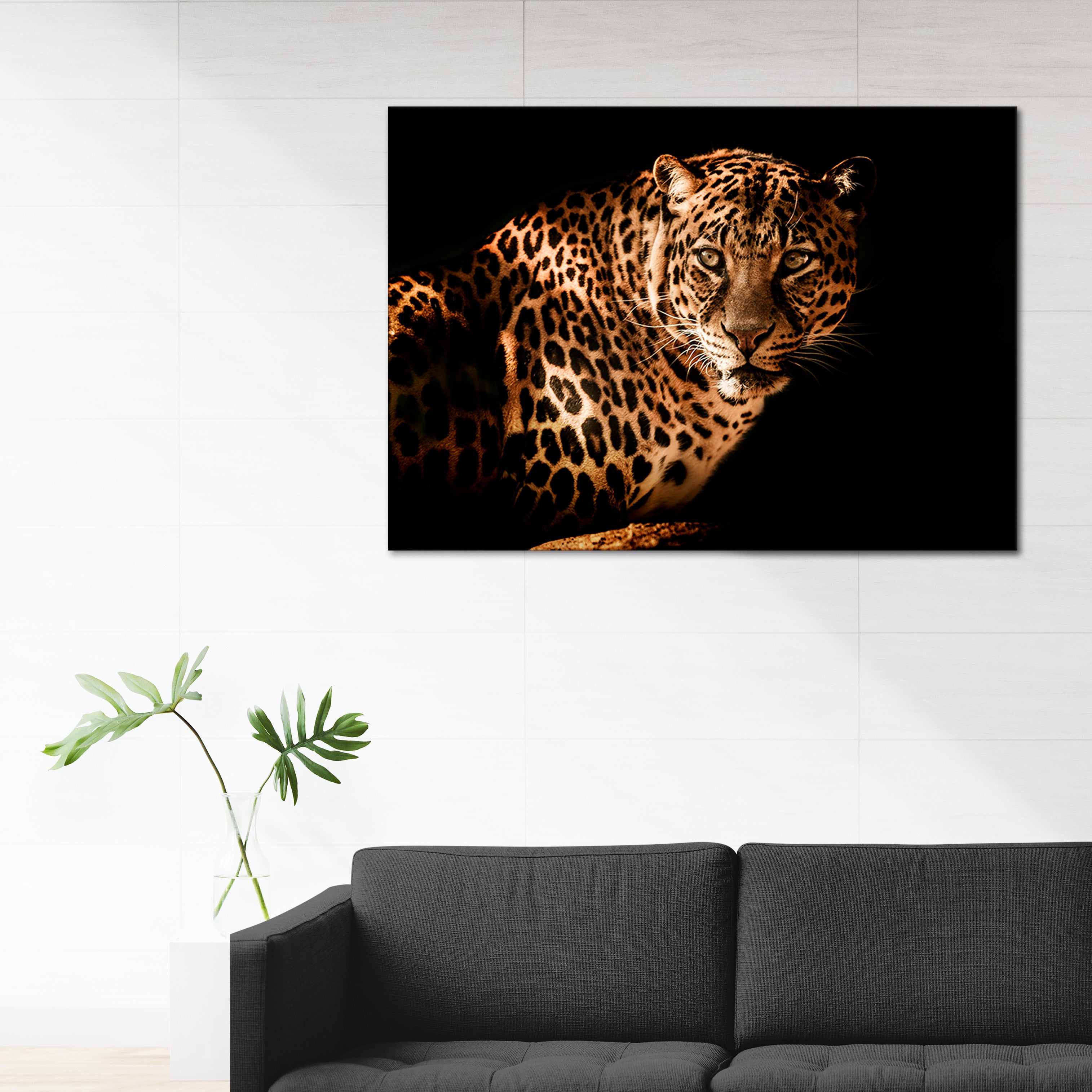 Tiger with black 