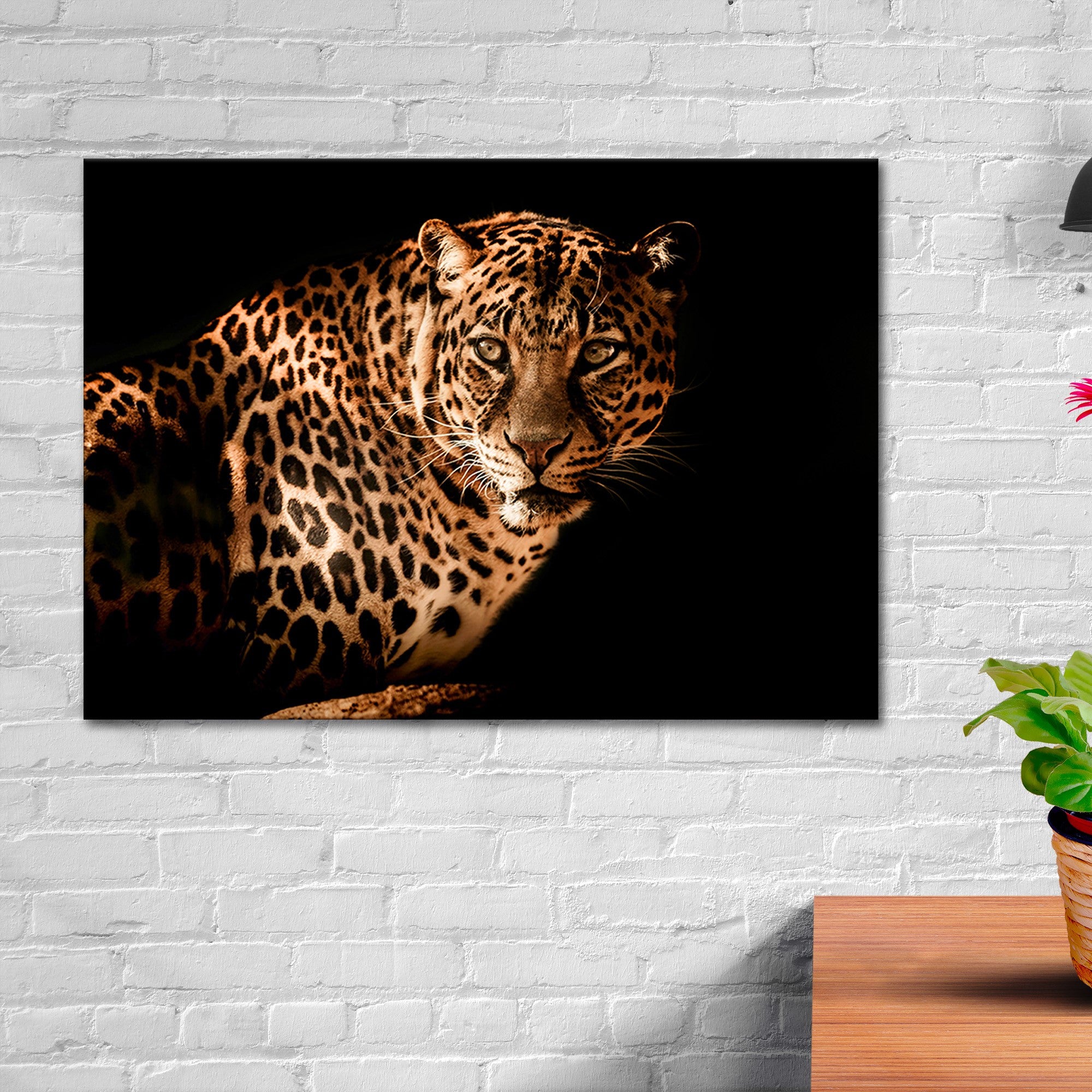 Tiger with black 