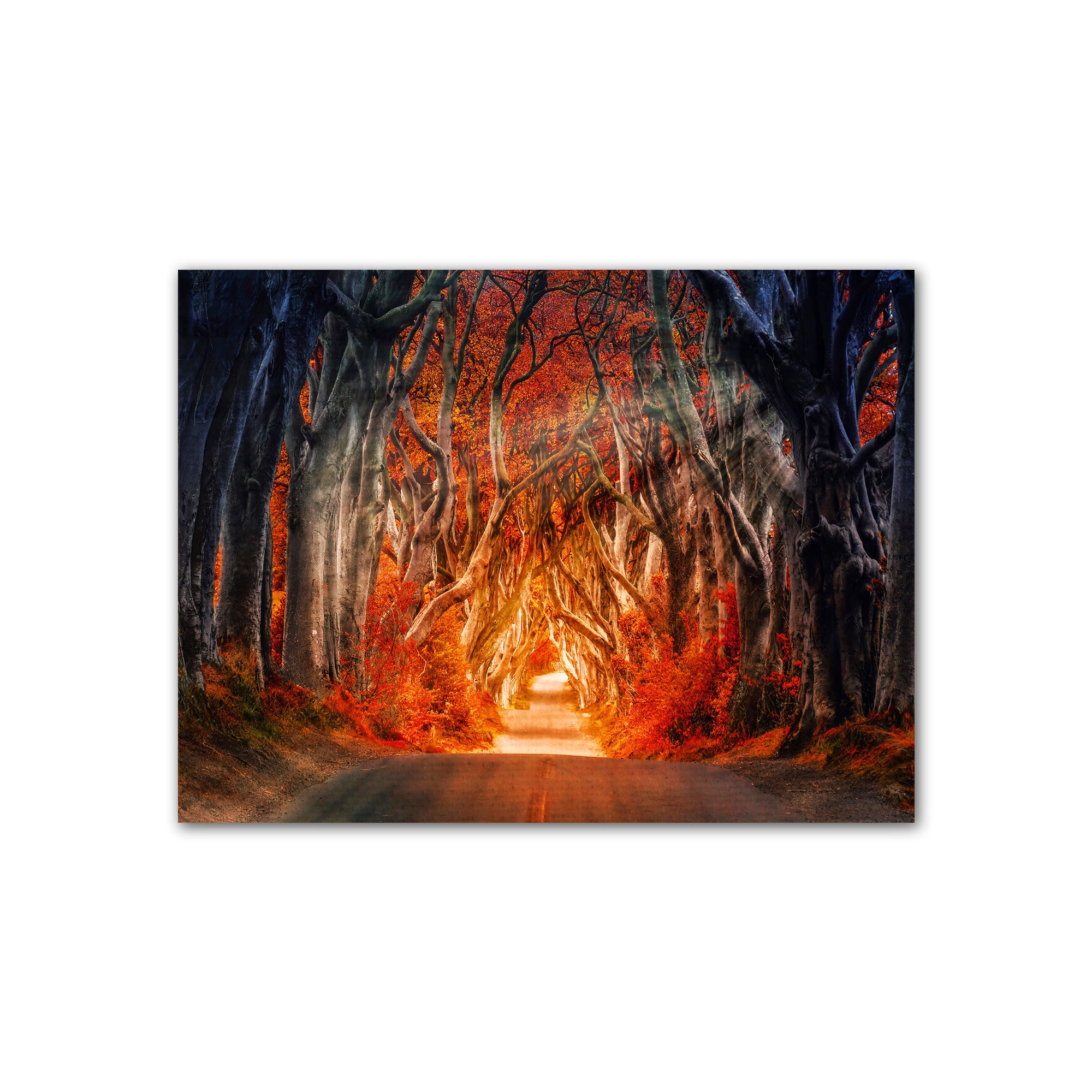 Autumn Path